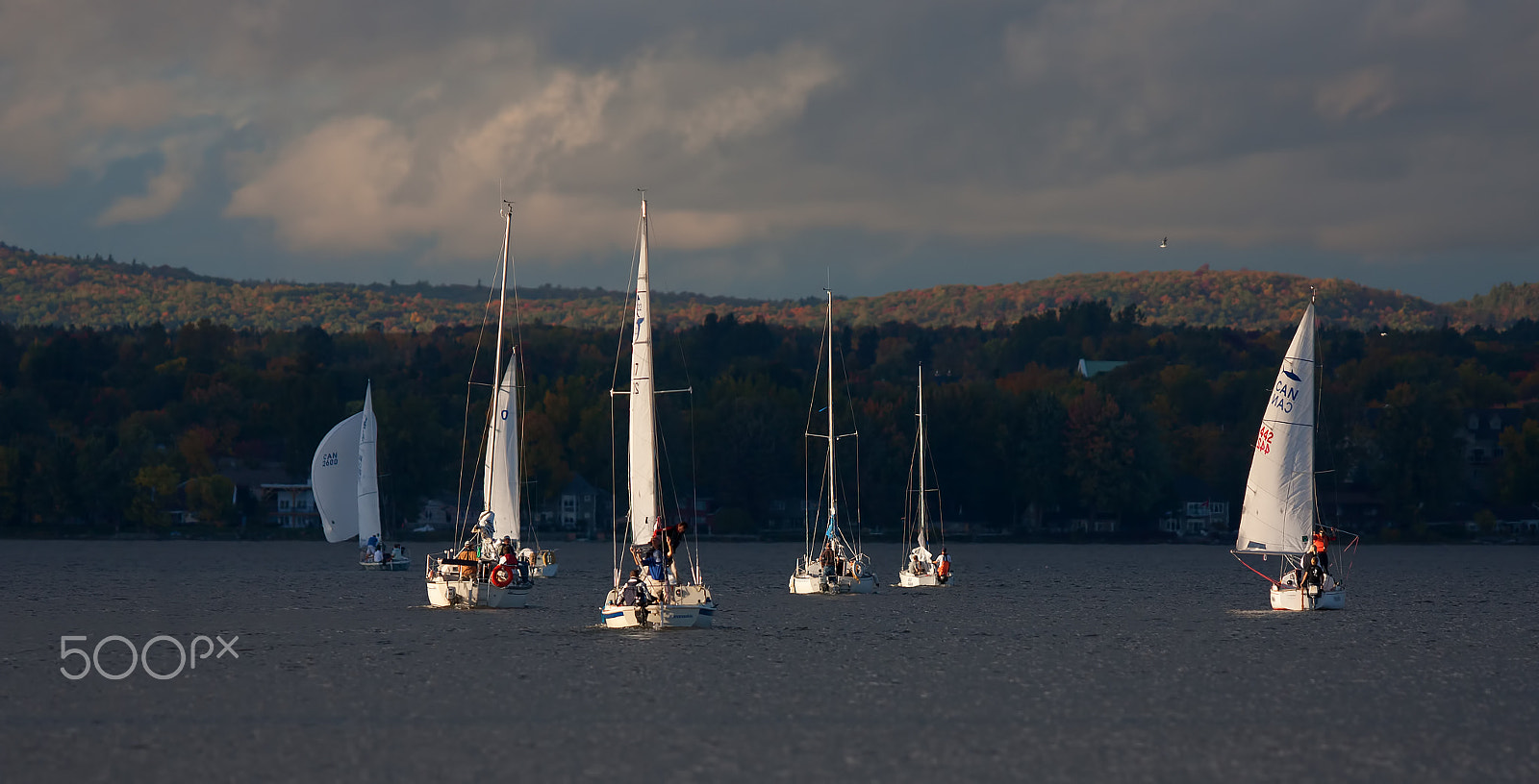 Canon EOS 40D + Canon EF 300mm F2.8L IS USM sample photo. Fall sail ahead... photography