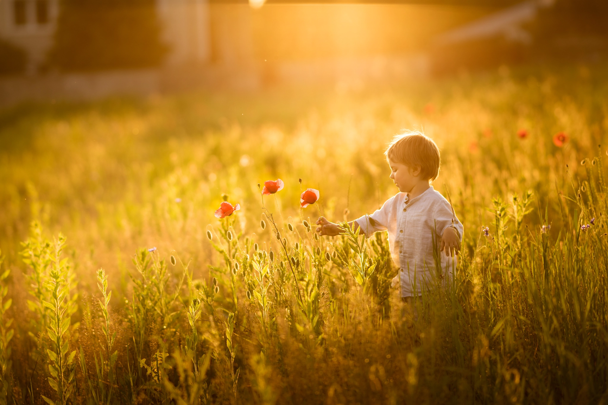 Sony a7 + Sony Sonnar T* 135mm F1.8 ZA sample photo. Hello june photography