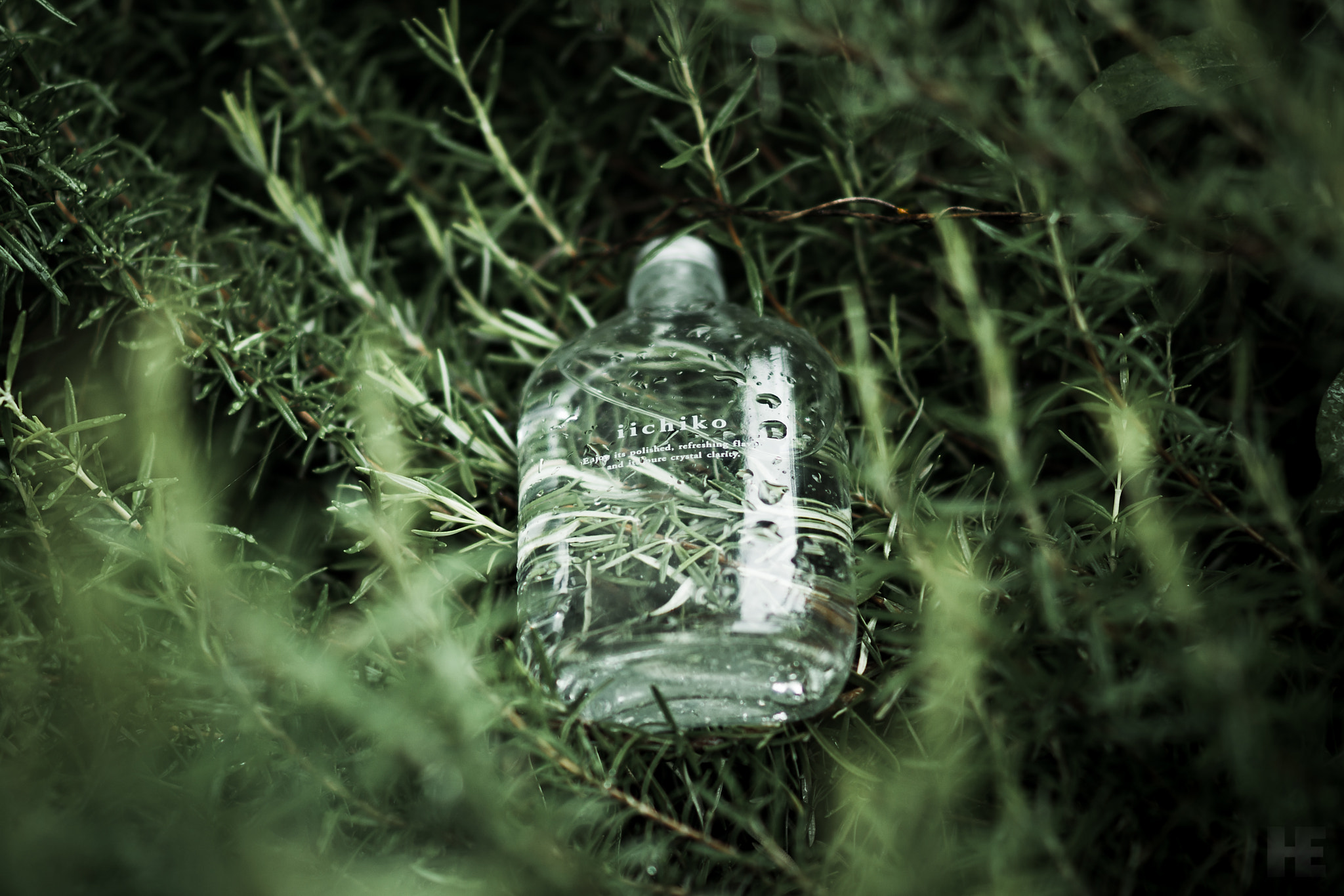 Sony Planar T* 85mm F1.4 ZA sample photo. Iichiko photography