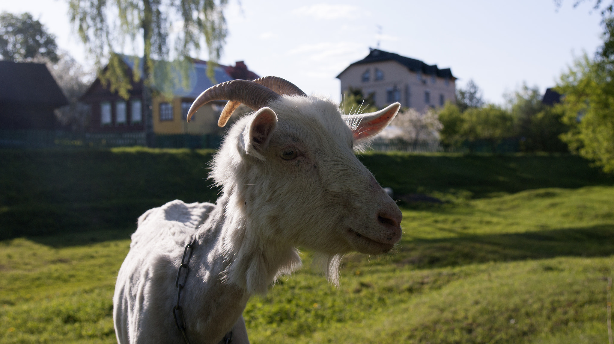Sony DT 16-105mm F3.5-5.6 sample photo
