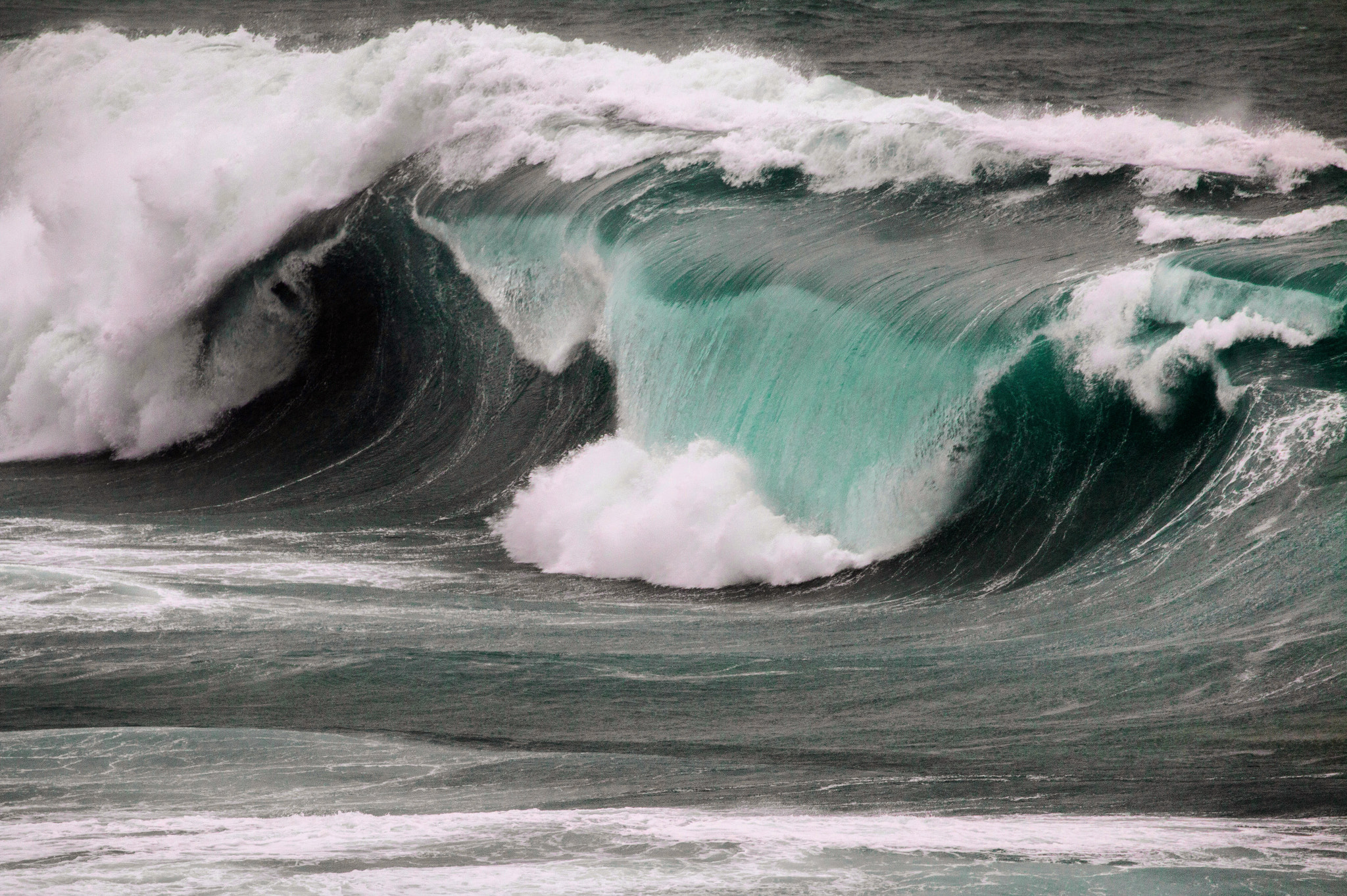 Canon EF 100-400mm F4.5-5.6L IS II USM sample photo. Terrifying nature photography