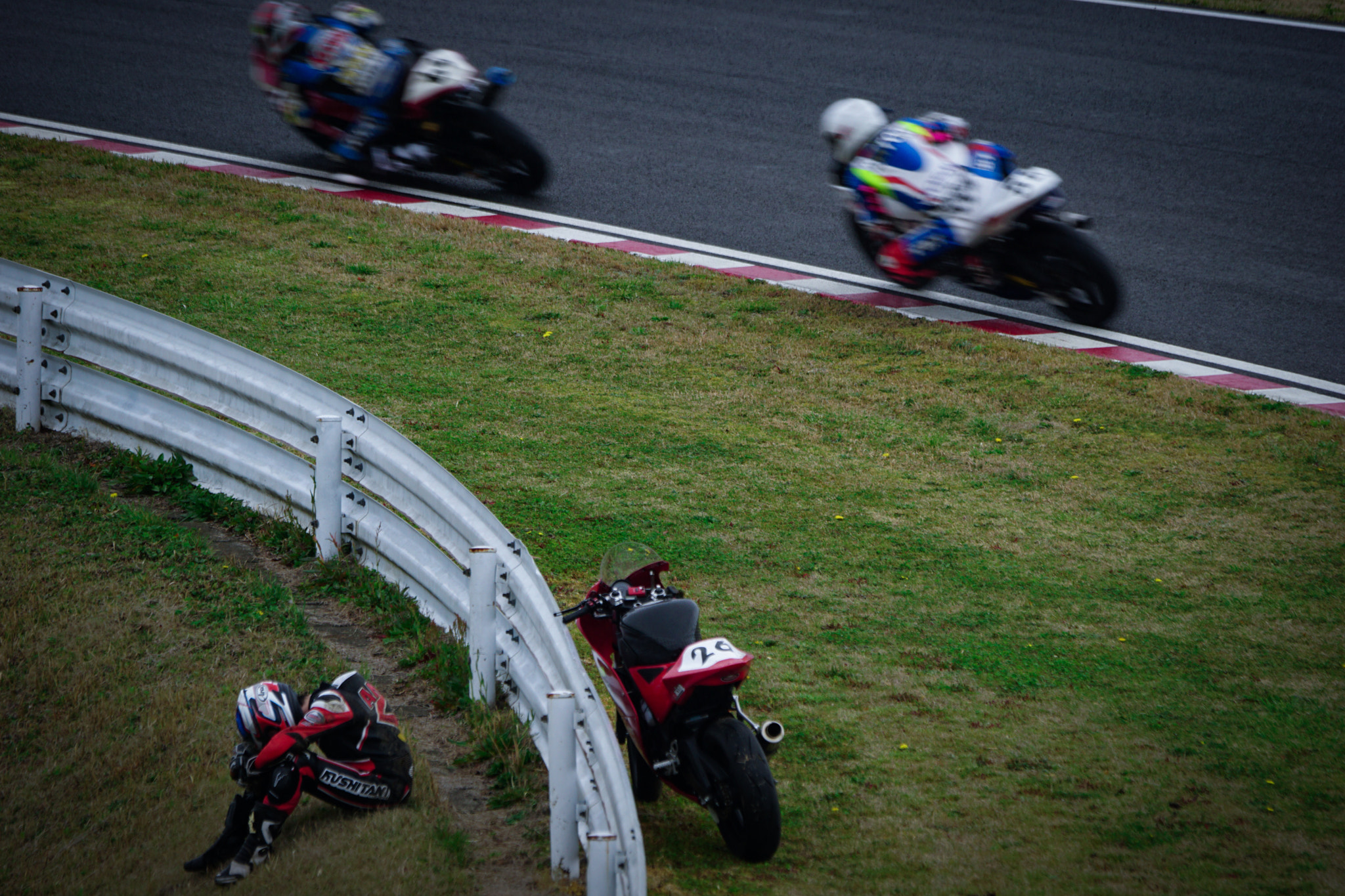 Sony ILCA-77M2 + Sony 70-400mm F4-5.6 G SSM II sample photo