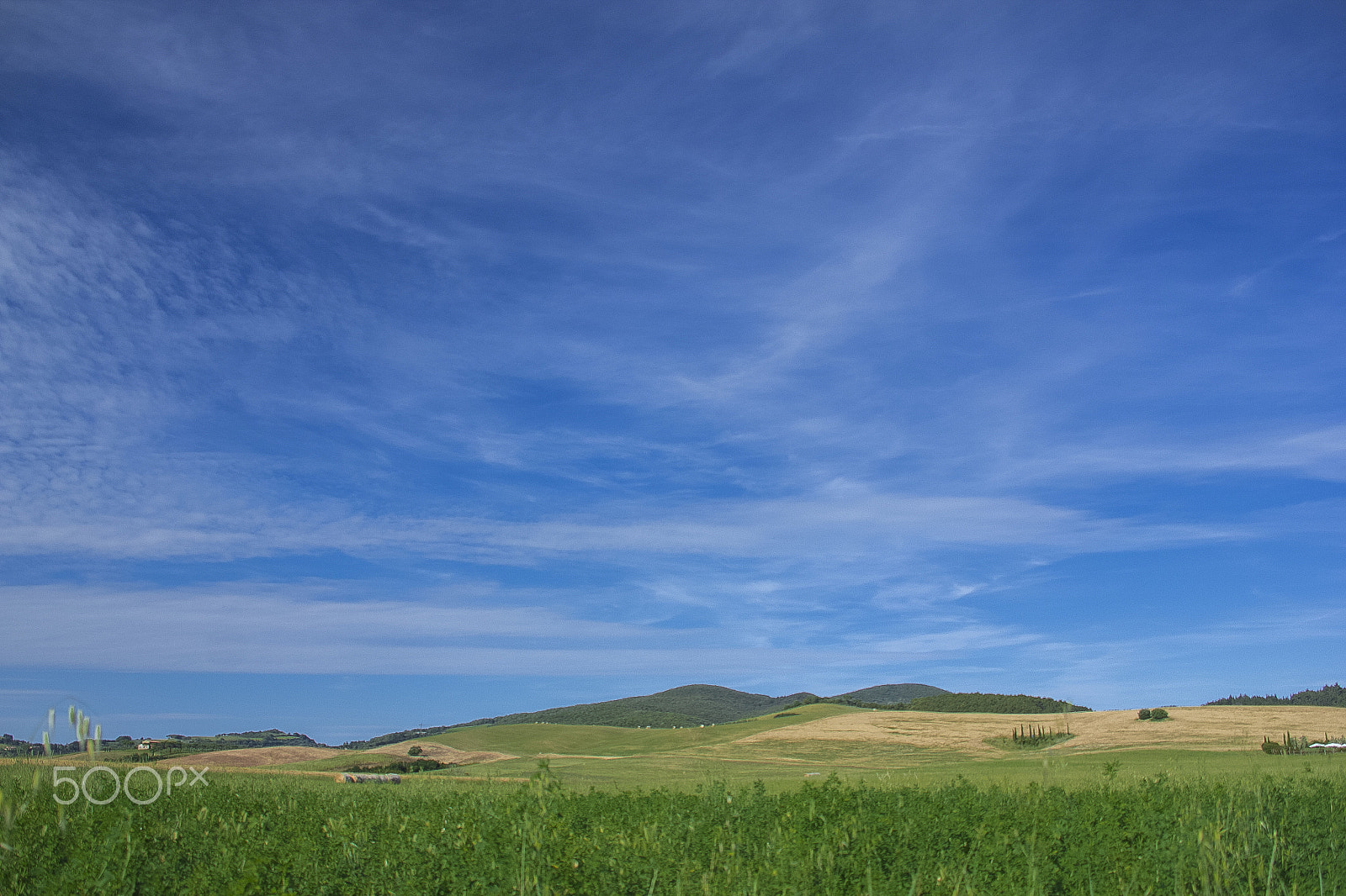 Canon EF 75-300mm F4.0-5.6 IS USM sample photo. Lines in the sky photography