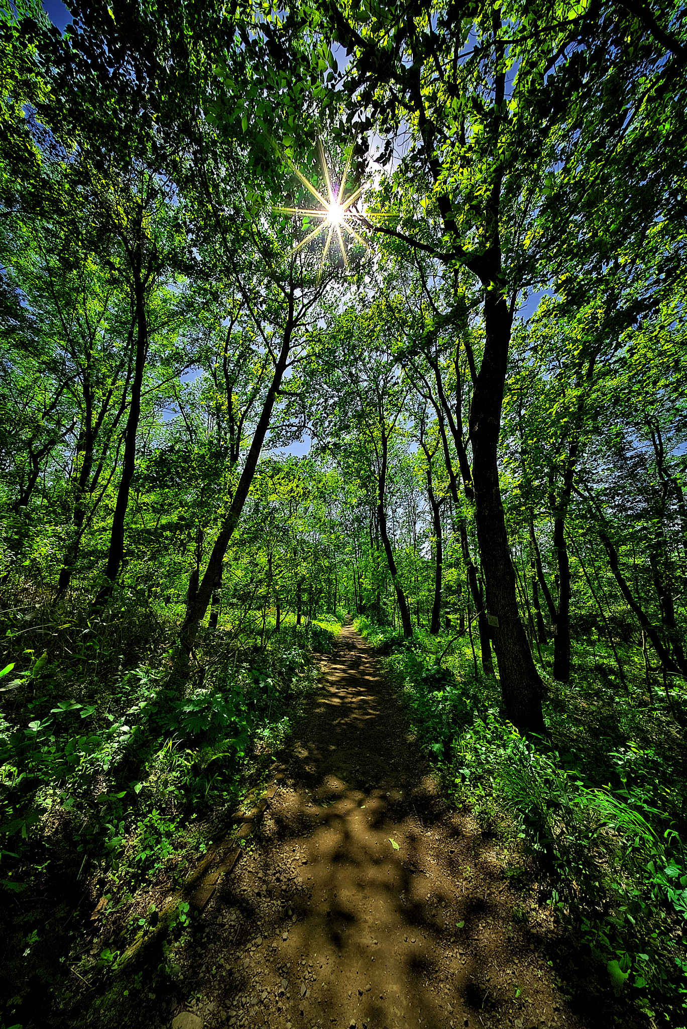 E 10mm F5.6 sample photo. Down this road before photography