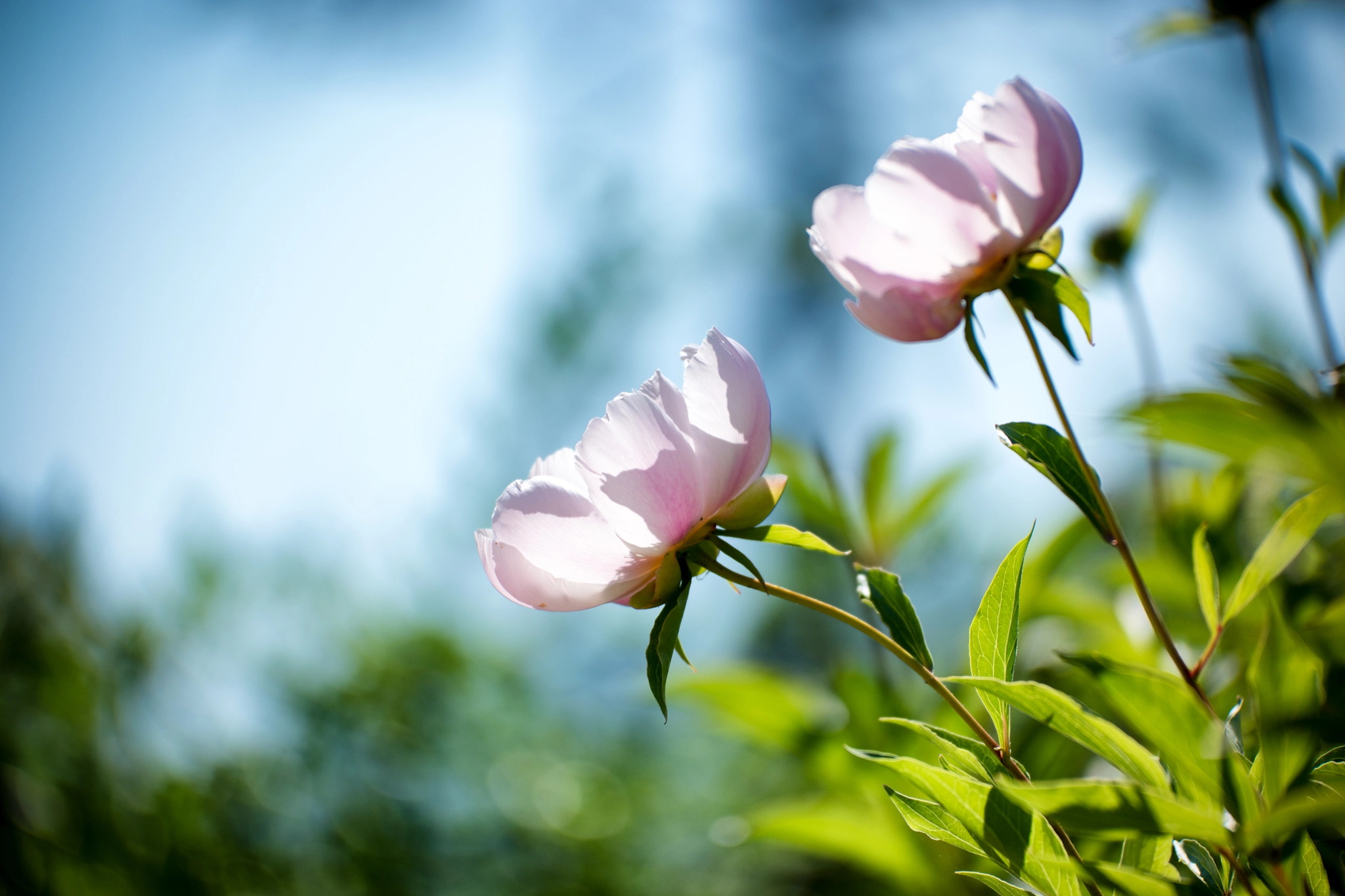 Samsung NX1 + NX 50-150mm F2.8 S sample photo. Incubate light photography