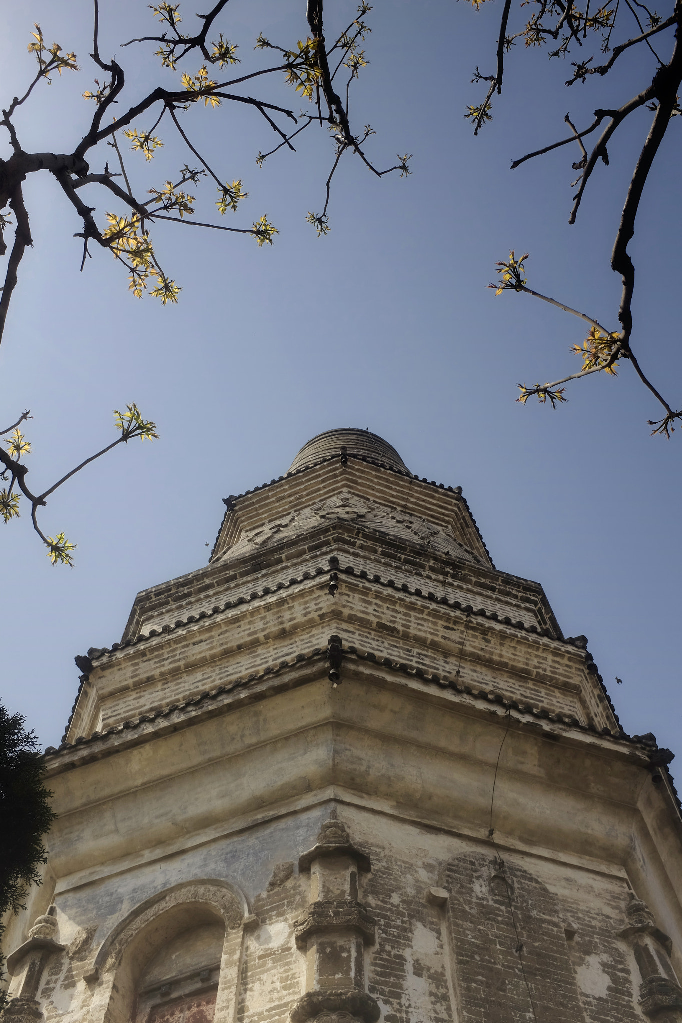 v2?sig=7167e1aaa0e4fabca2bff0e229f4fb8c5