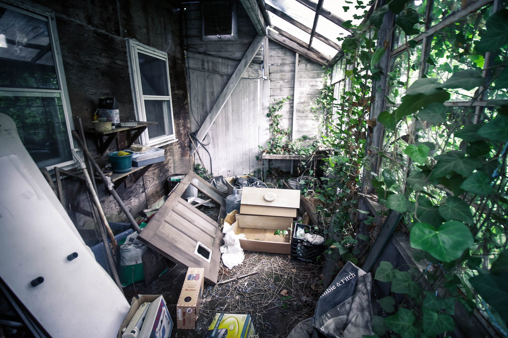 Canon EF-S 10-18mm F4.5–5.6 IS STM sample photo. Untitled photography
