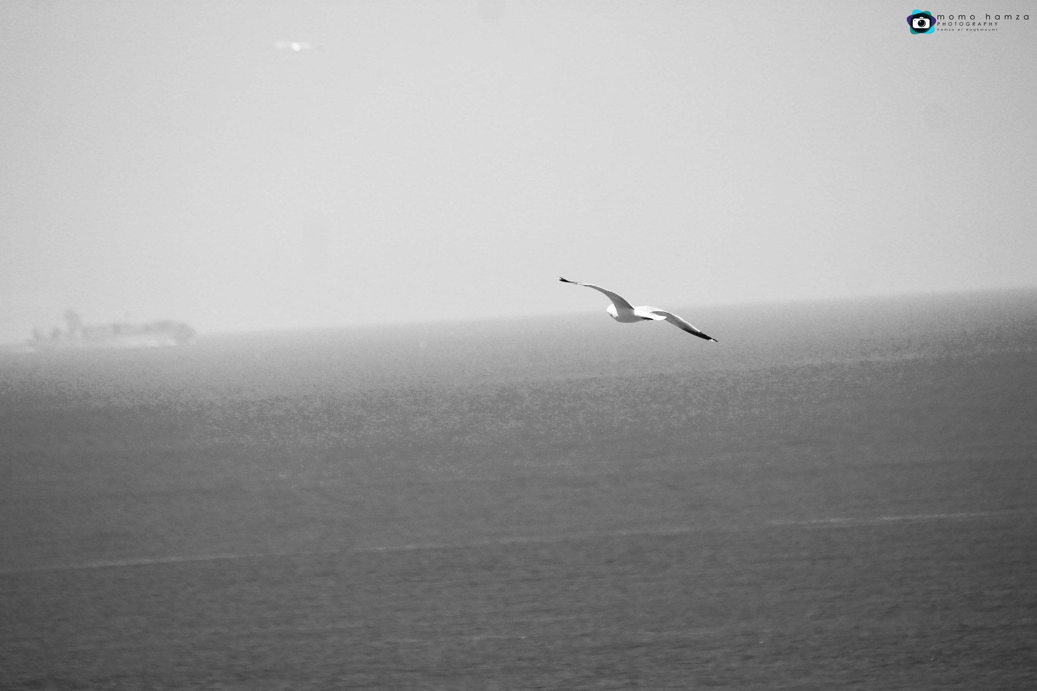 Canon EF 100-300mm f/5.6 sample photo. Tanger  photography