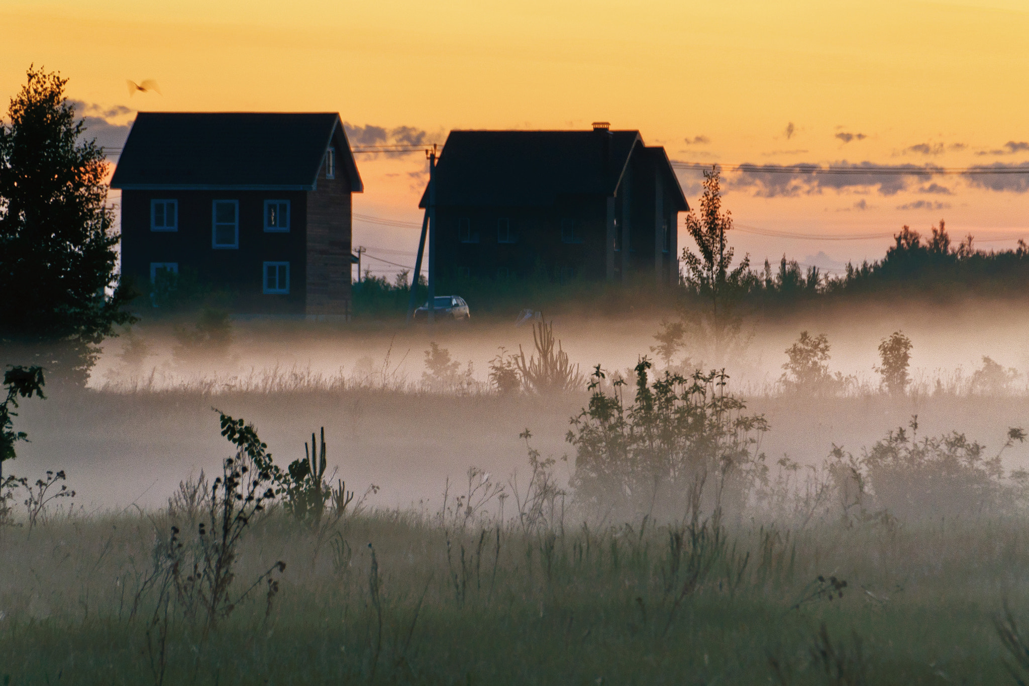 Sigma 18-200mm F3.5-6.3 II DC OS HSM sample photo. When the fog is going down photography