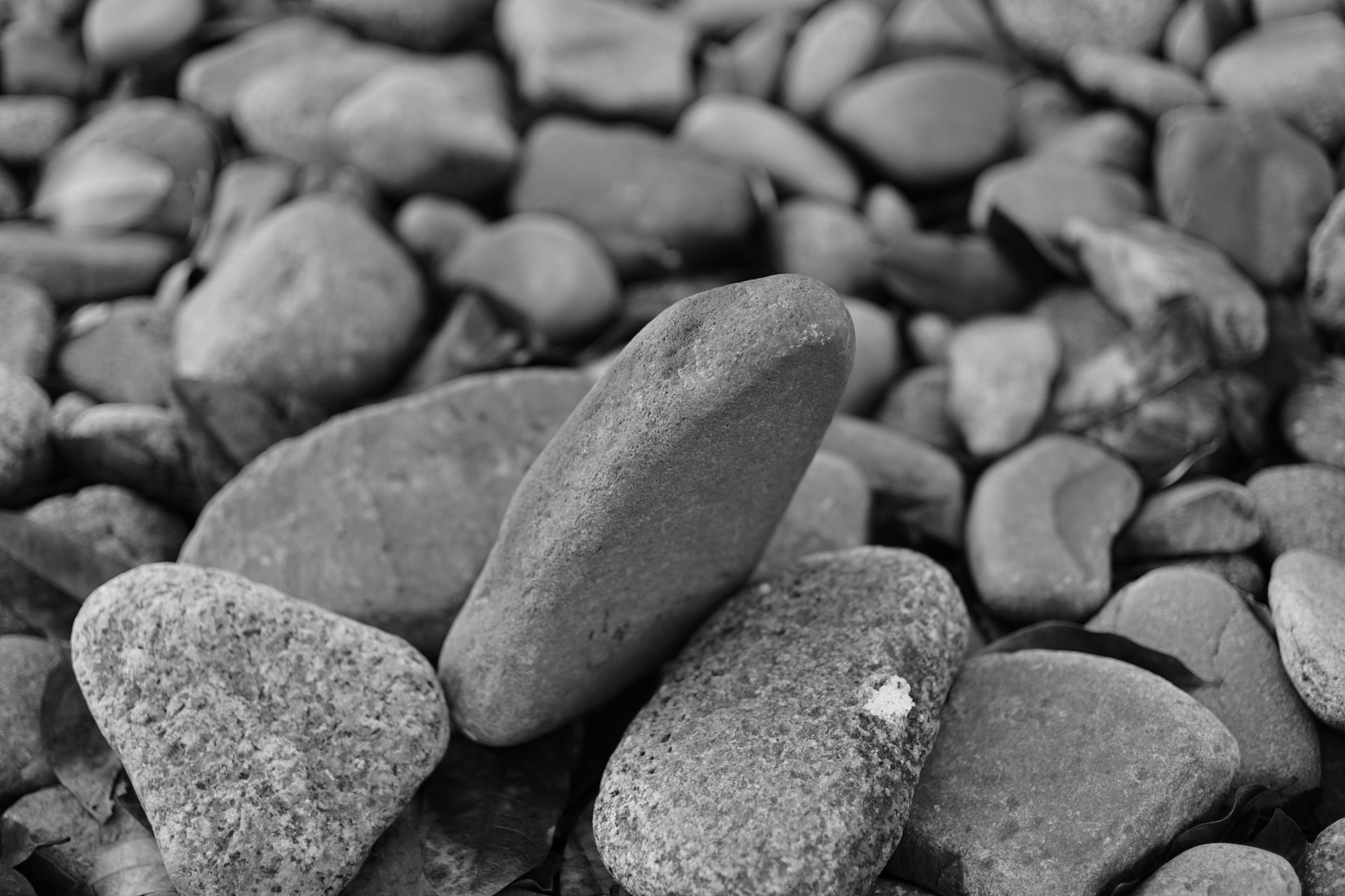 ZEISS Touit 32mm F1.8 sample photo