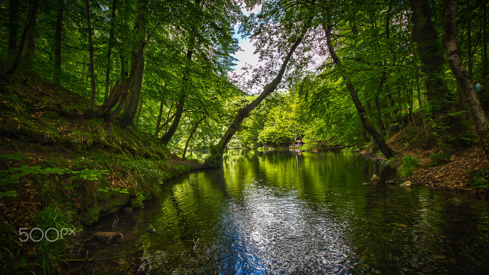 Canon EF-S 10-18mm F4.5–5.6 IS STM sample photo. Yedigöller milli parkı photography