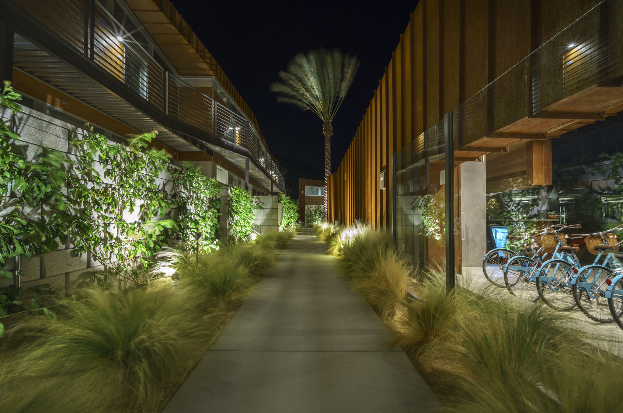 Sony a7R II + Voigtlander SUPER WIDE-HELIAR 15mm F4.5 III sample photo. Palm springs at night photography