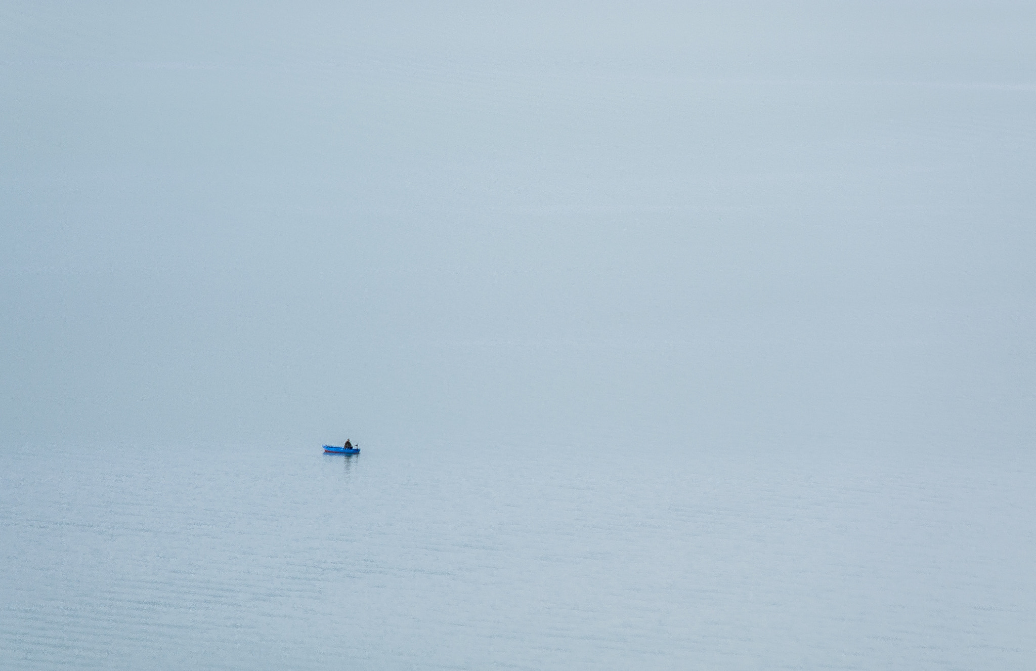 Pentax smc DA 50-200mm F4-5.6 ED WR sample photo. Alone photography