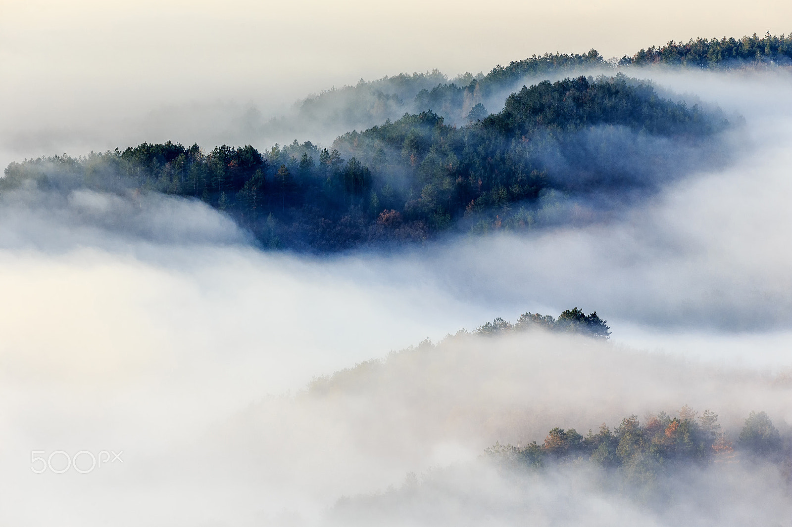 Canon EOS 6D + Canon EF 100-400mm F4.5-5.6L IS II USM sample photo. Sunrise in the forest photography