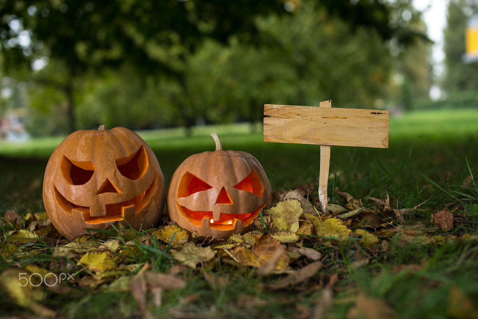 Nikon D600 + Sigma 50mm F1.4 EX DG HSM sample photo. Halloween pumpkins in the forest photography