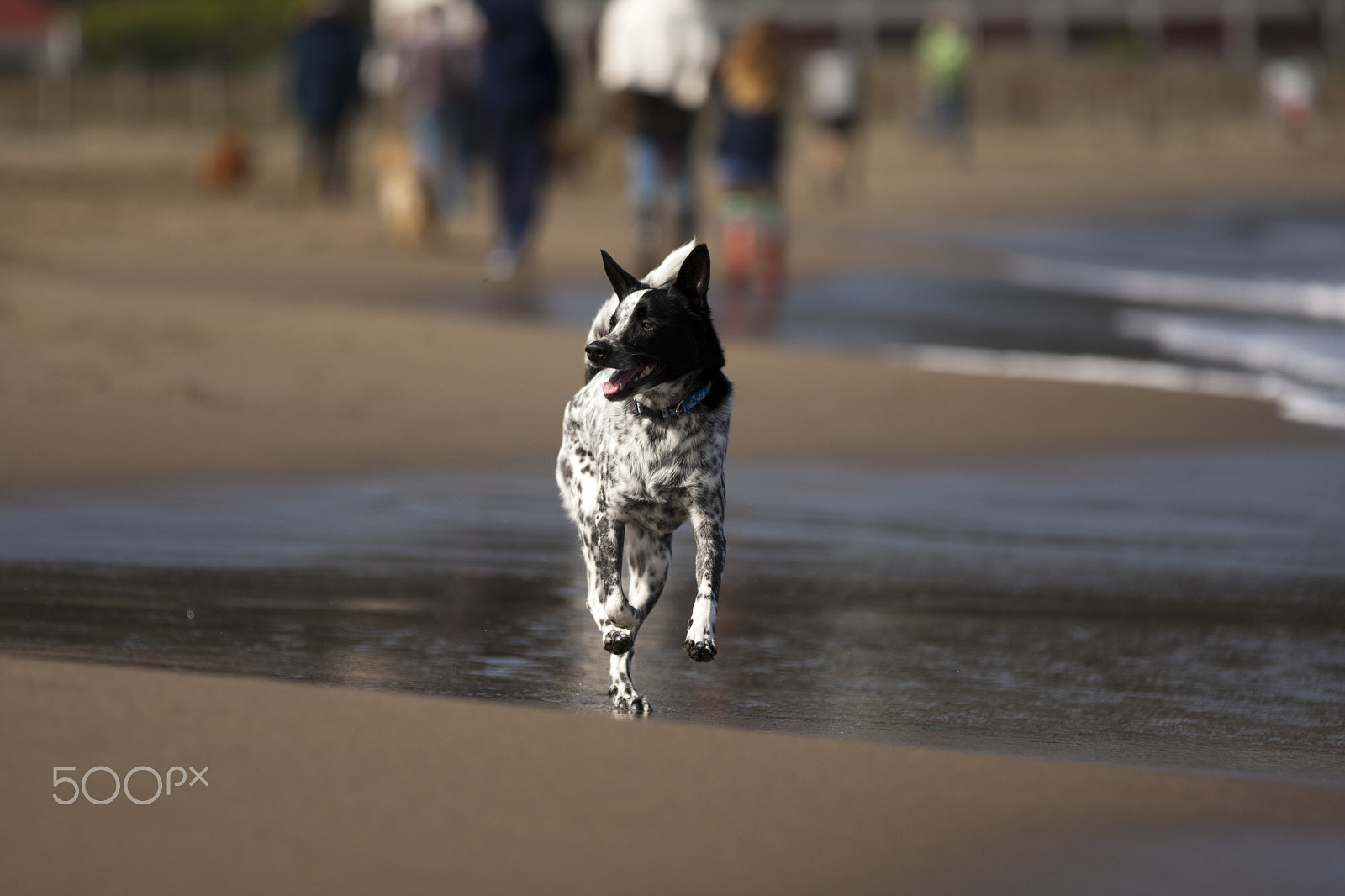 Canon EOS 40D sample photo. Beach time photography