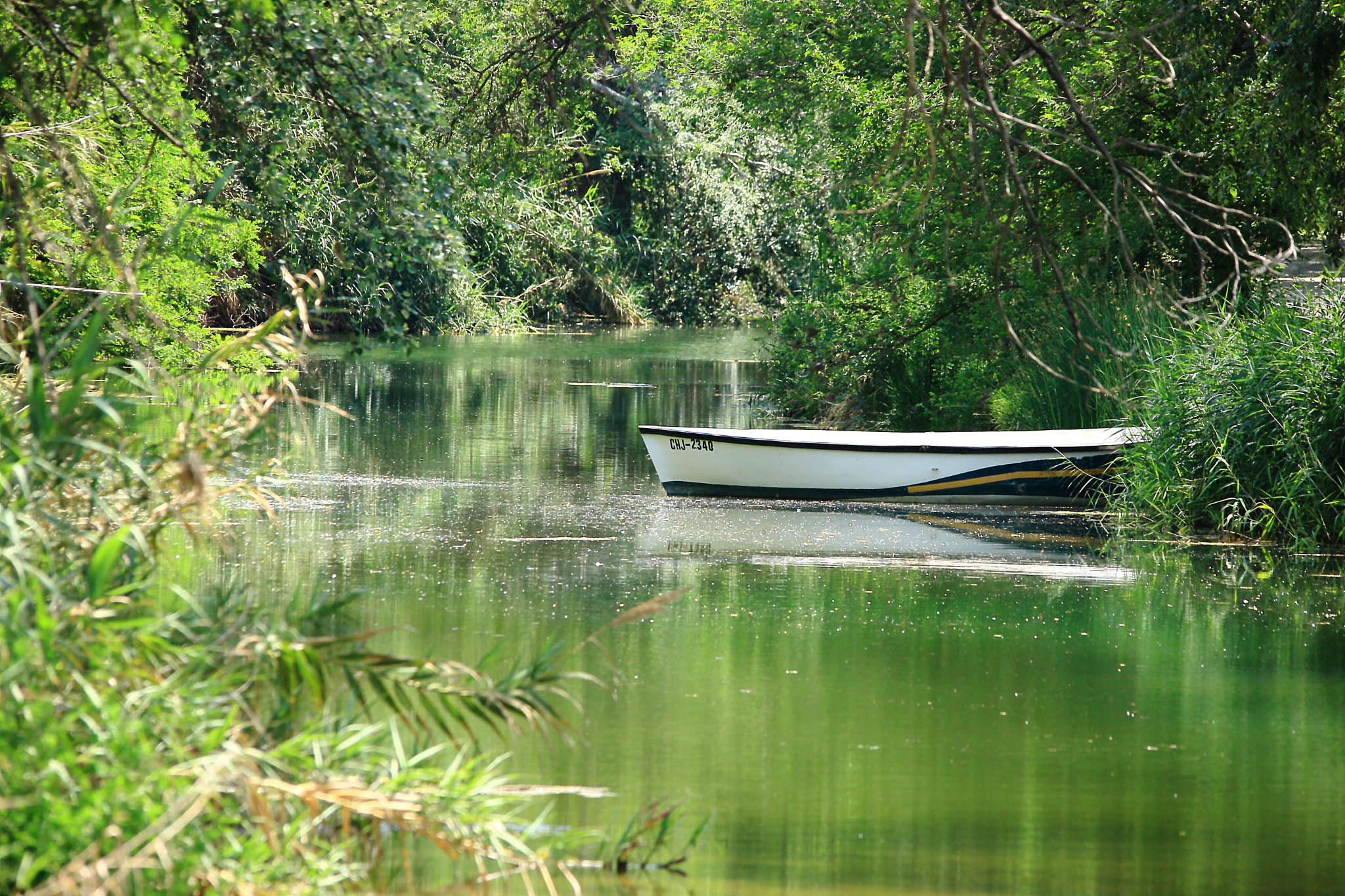 Sigma 150-500mm F5-6.3 DG OS HSM sample photo. Small boat photography