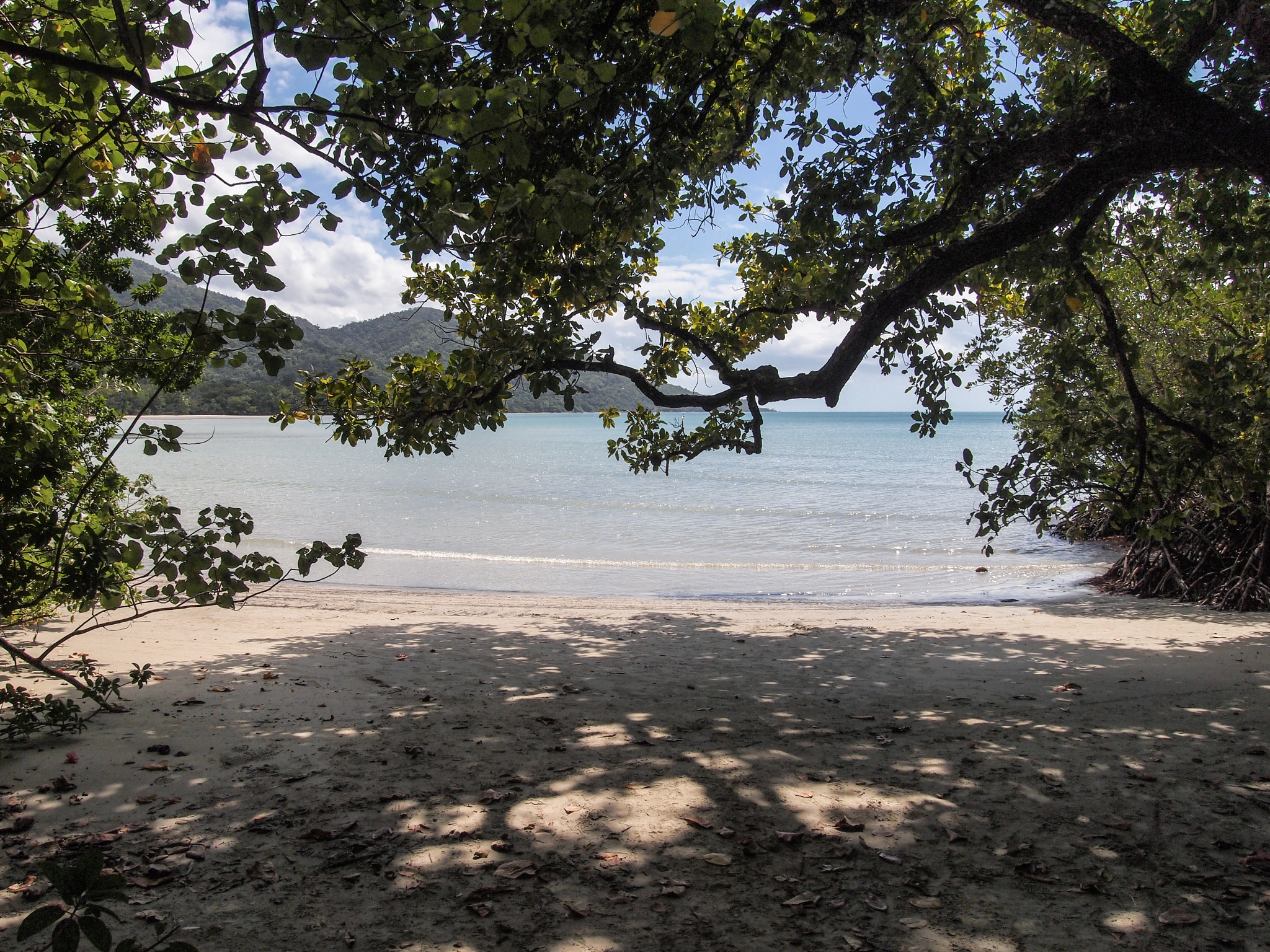Olympus PEN E-PL2 sample photo. Shady place  photography
