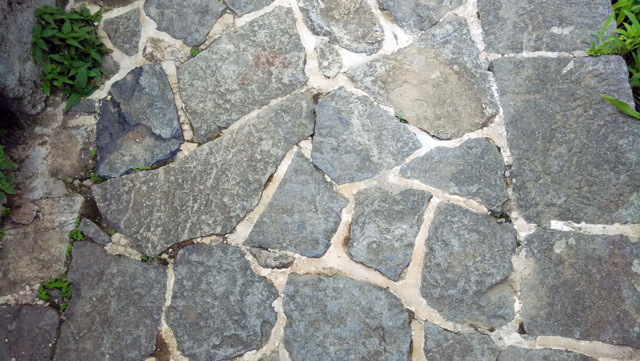 Xiaomi HM1S sample photo. Img_20150714_122100.jpg photography
