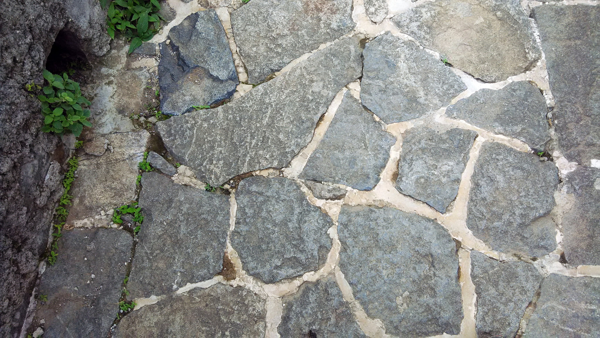 Xiaomi HM1S sample photo. Img_20150714_122103.jpg photography