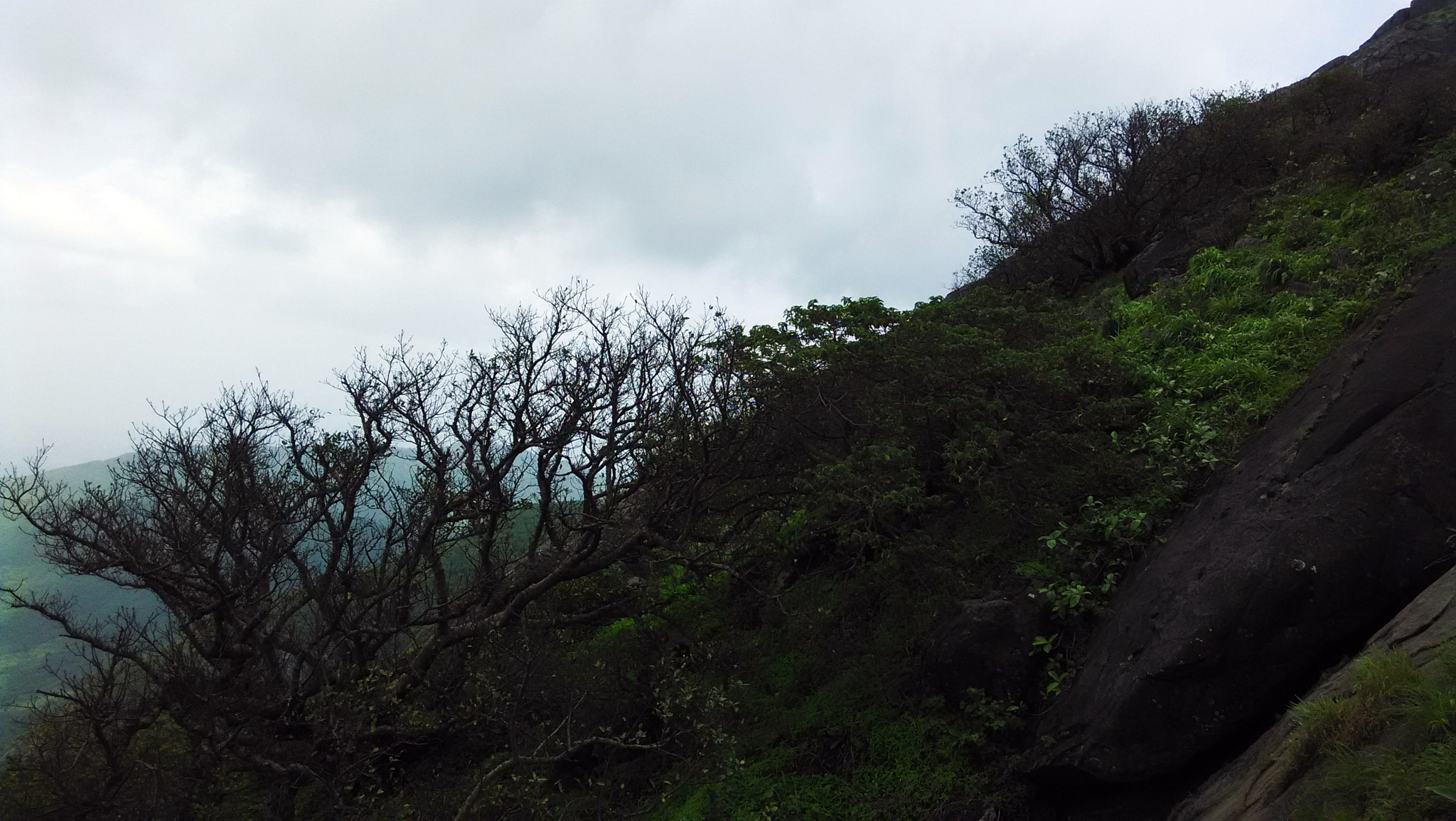 Xiaomi HM1S sample photo. Img_20150714_122331.jpg photography