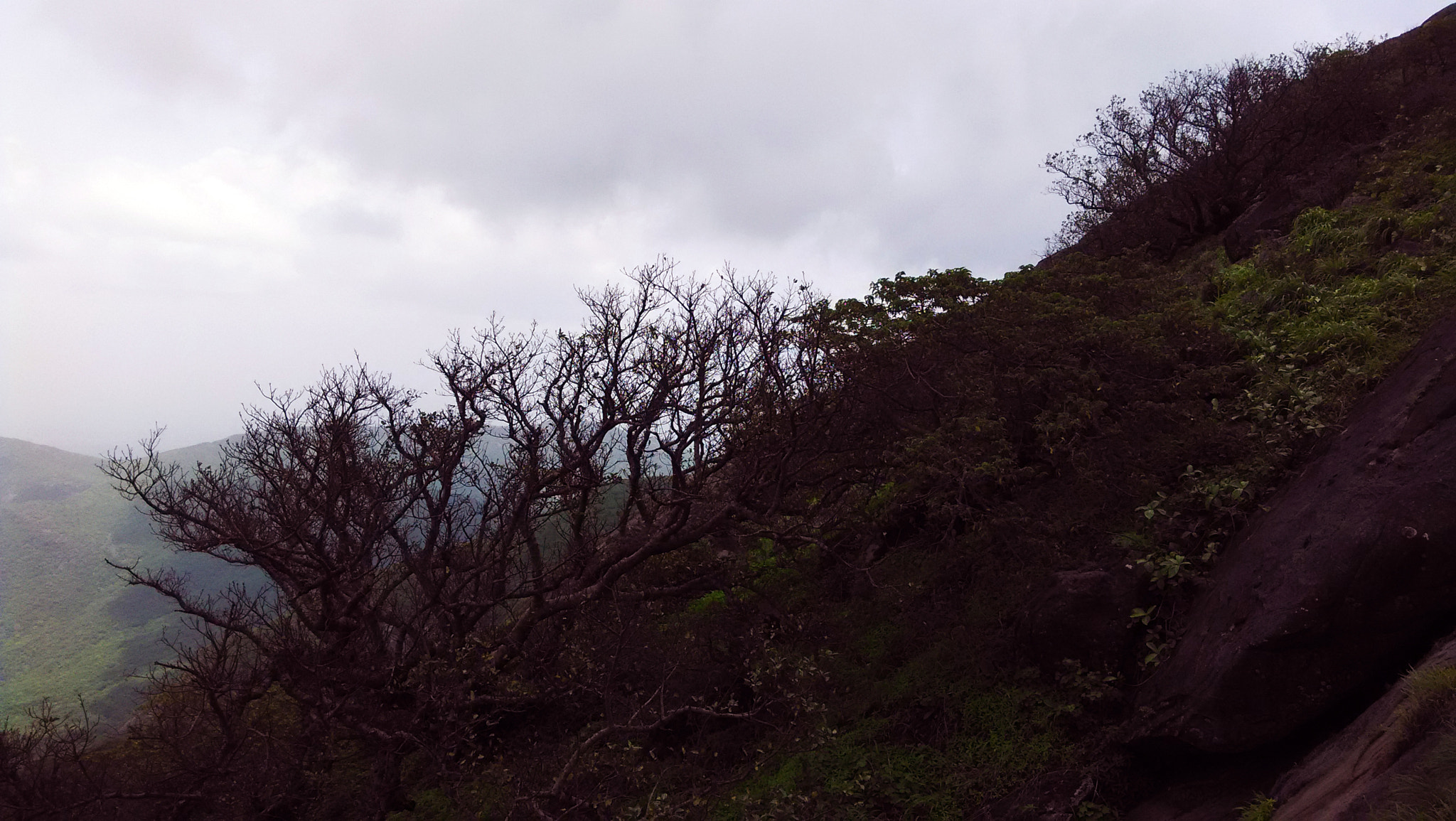 Xiaomi HM1S sample photo. Img_20150714_122334.jpg photography
