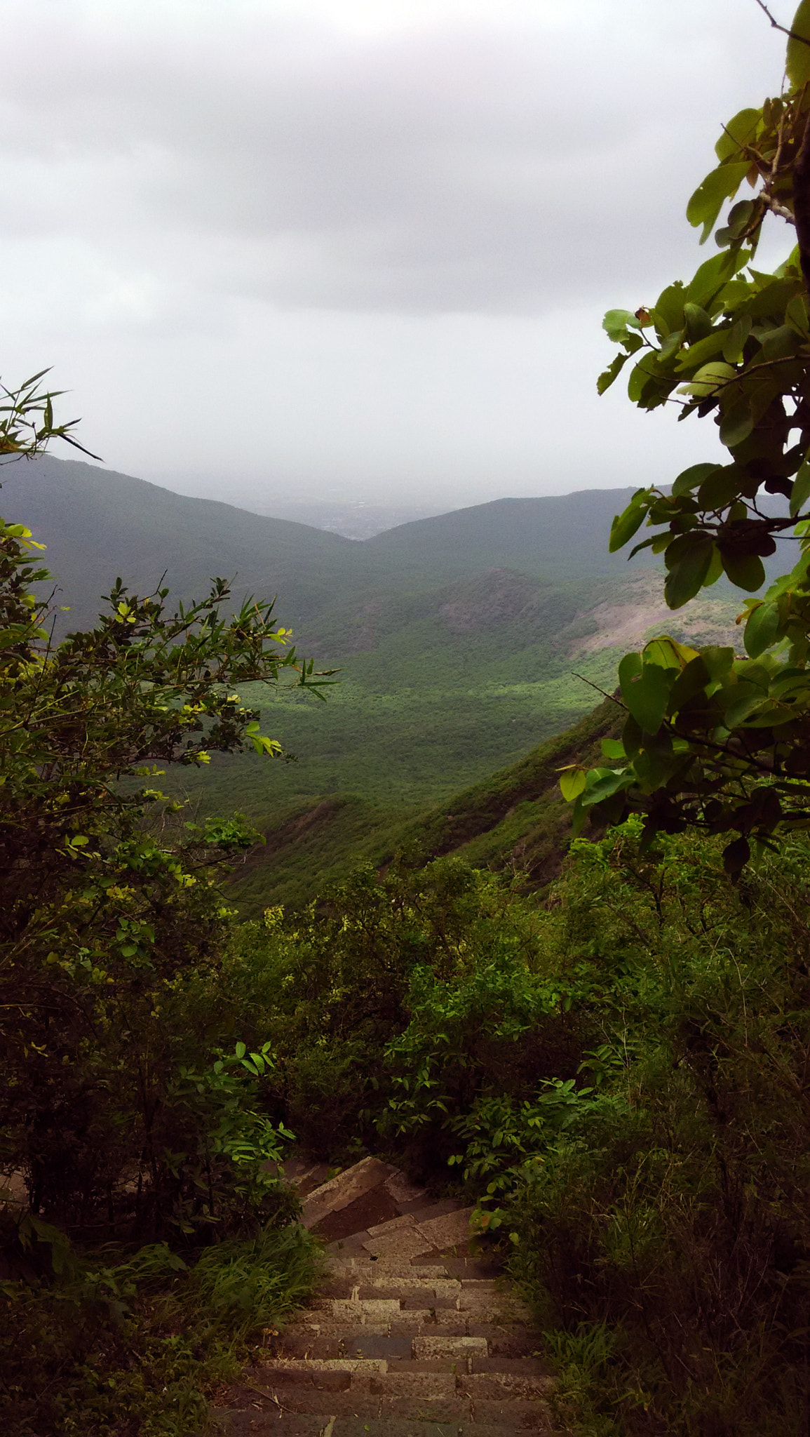Xiaomi HM1S sample photo. Img_20150714_135654.jpg photography