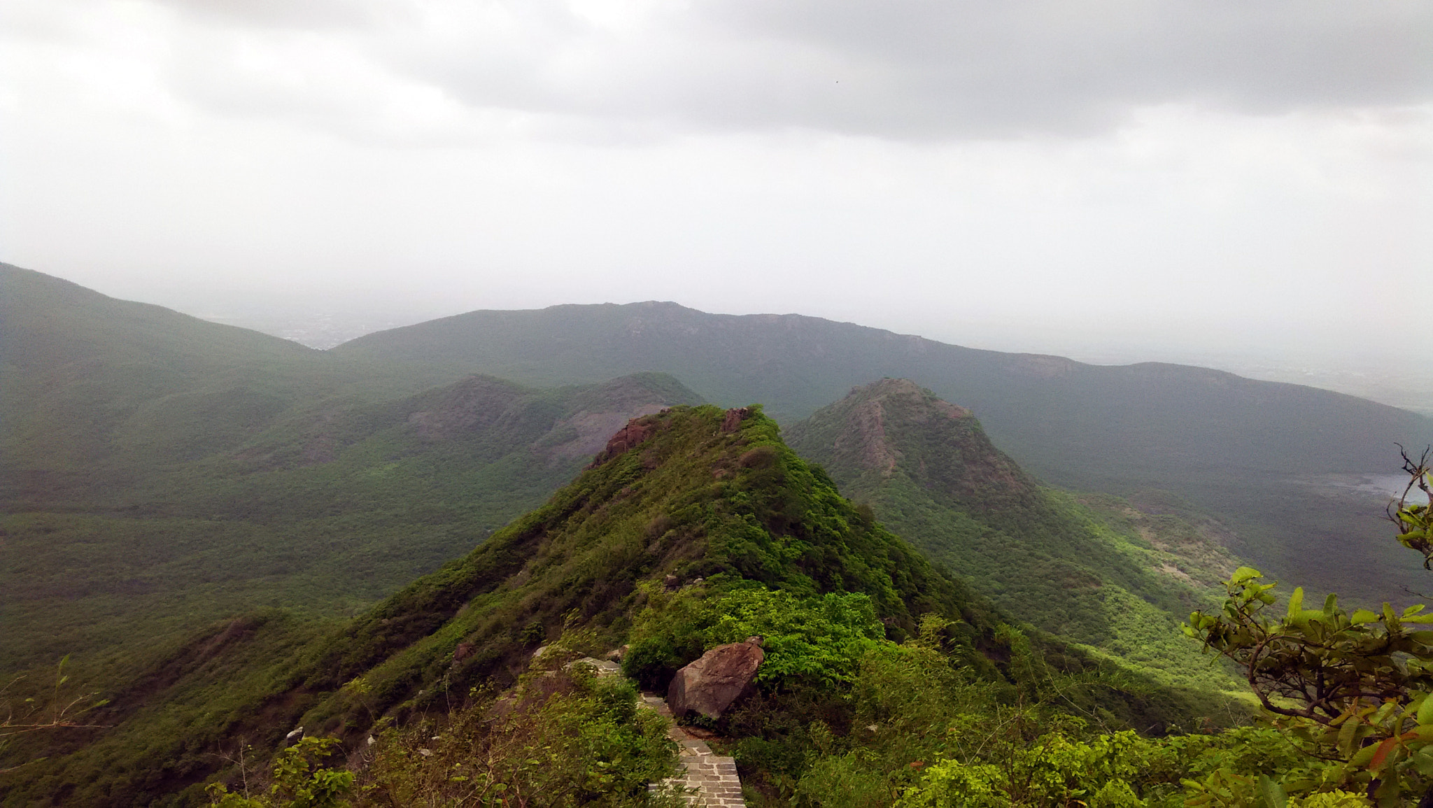 Xiaomi HM1S sample photo. Img_20150714_140301.jpg photography