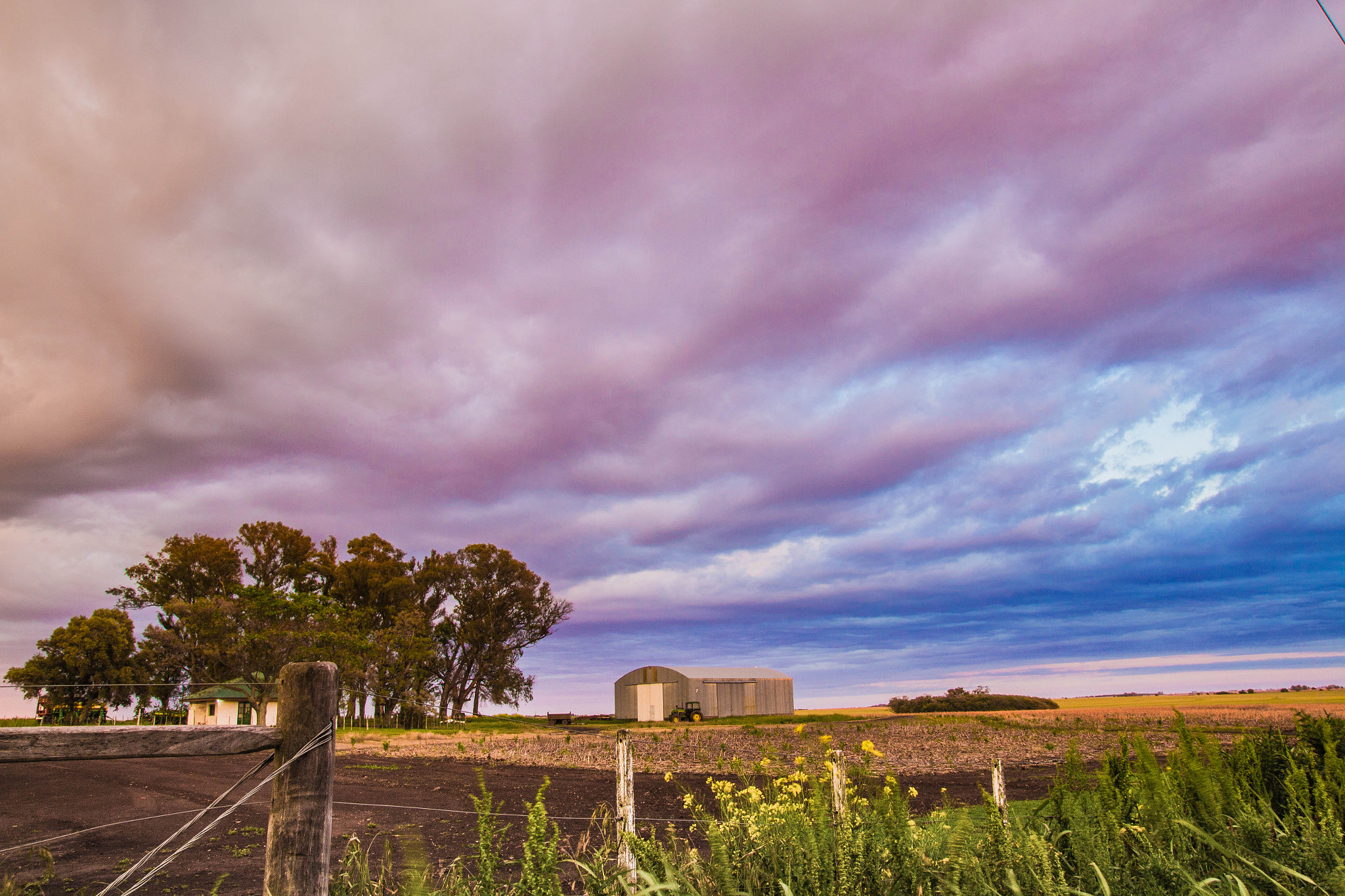 Tamron SP AF 17-50mm F2.8 XR Di II LD Aspherical (IF) sample photo. Morning field photography