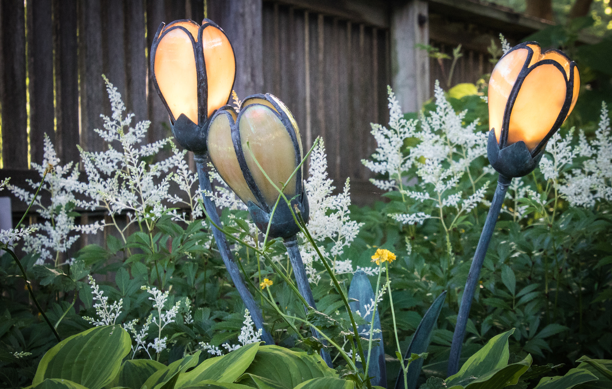 Canon EOS 760D (EOS Rebel T6s / EOS 8000D) sample photo. Tulip lamps in garden photography
