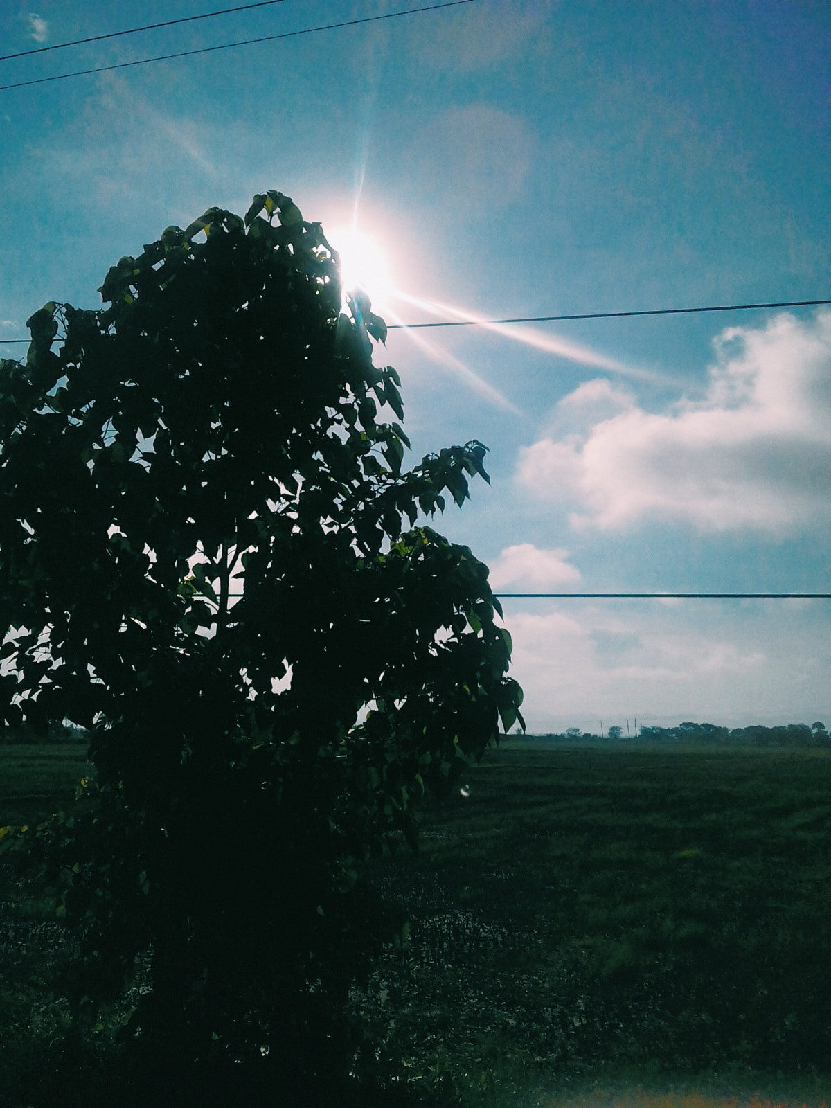 Samsung Galaxy J1 Mini sample photo. Blue sky and sun shines photography