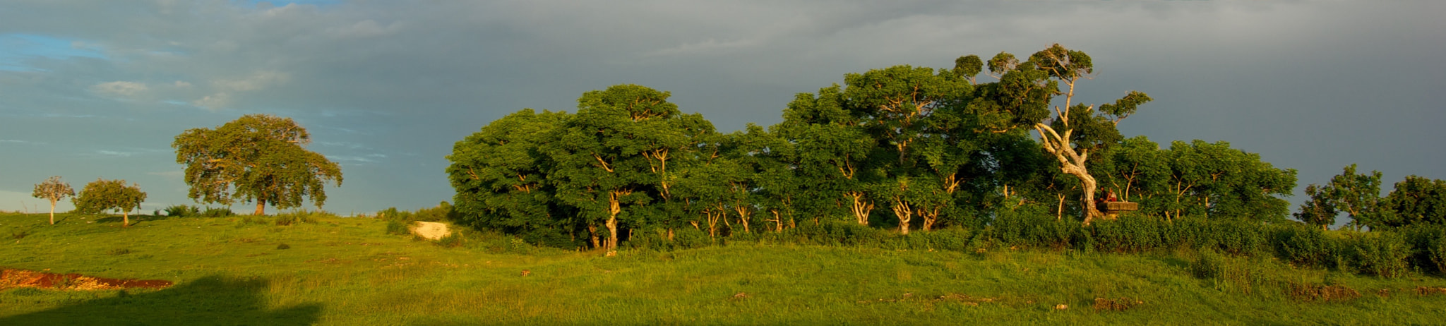 Pentax K10D sample photo. Trip to sumba photography