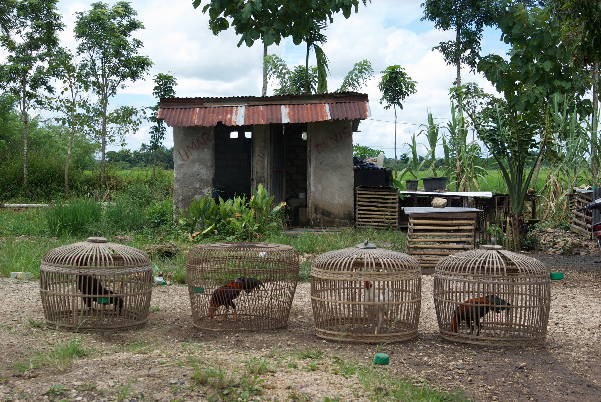 Pentax K10D sample photo. Trip to sumba photography