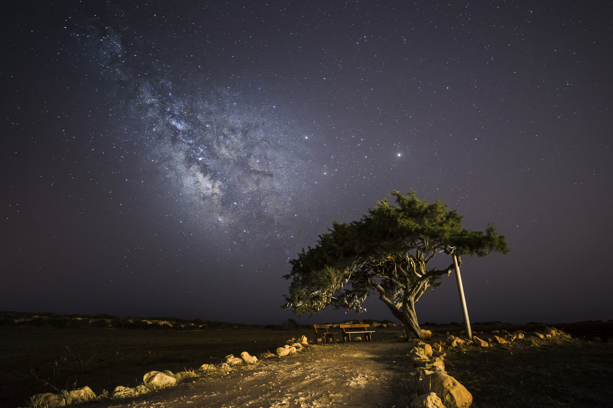 Sony a7 + ZEISS Batis 18mm F2.8 sample photo. Why should i feel lonely? photography