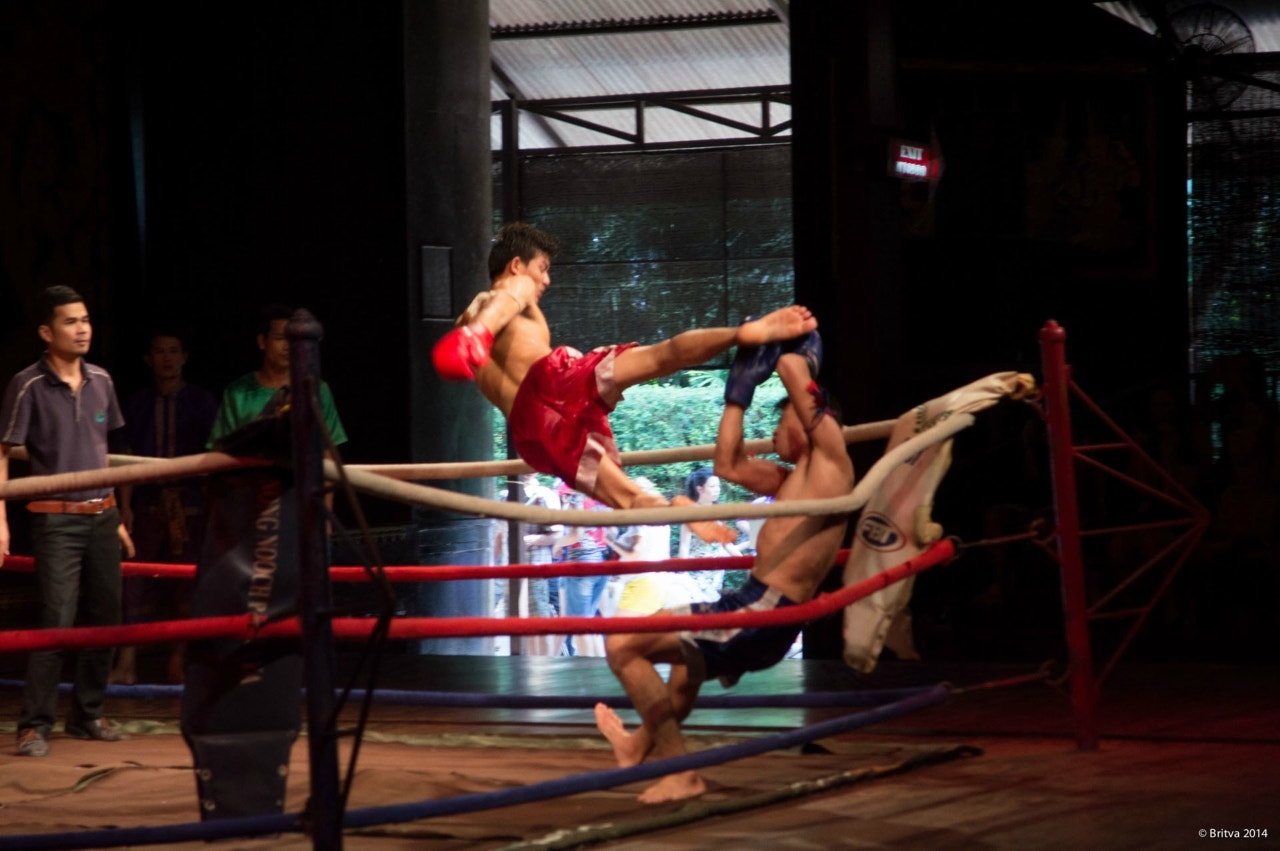 Sony SLT-A55 (SLT-A55V) sample photo. Muay thai photography