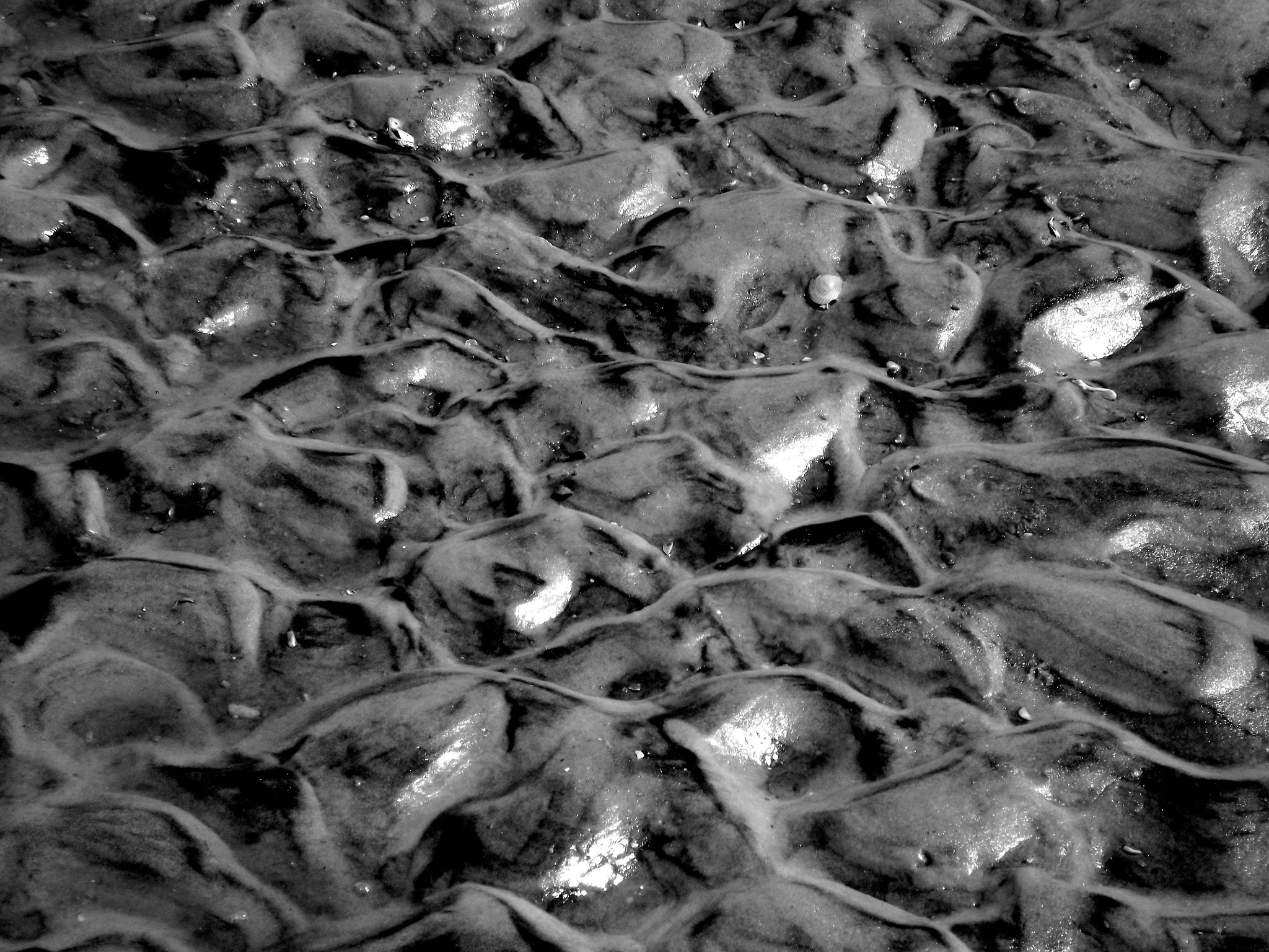 Fujifilm FinePix S3280 sample photo. Matanzas photography