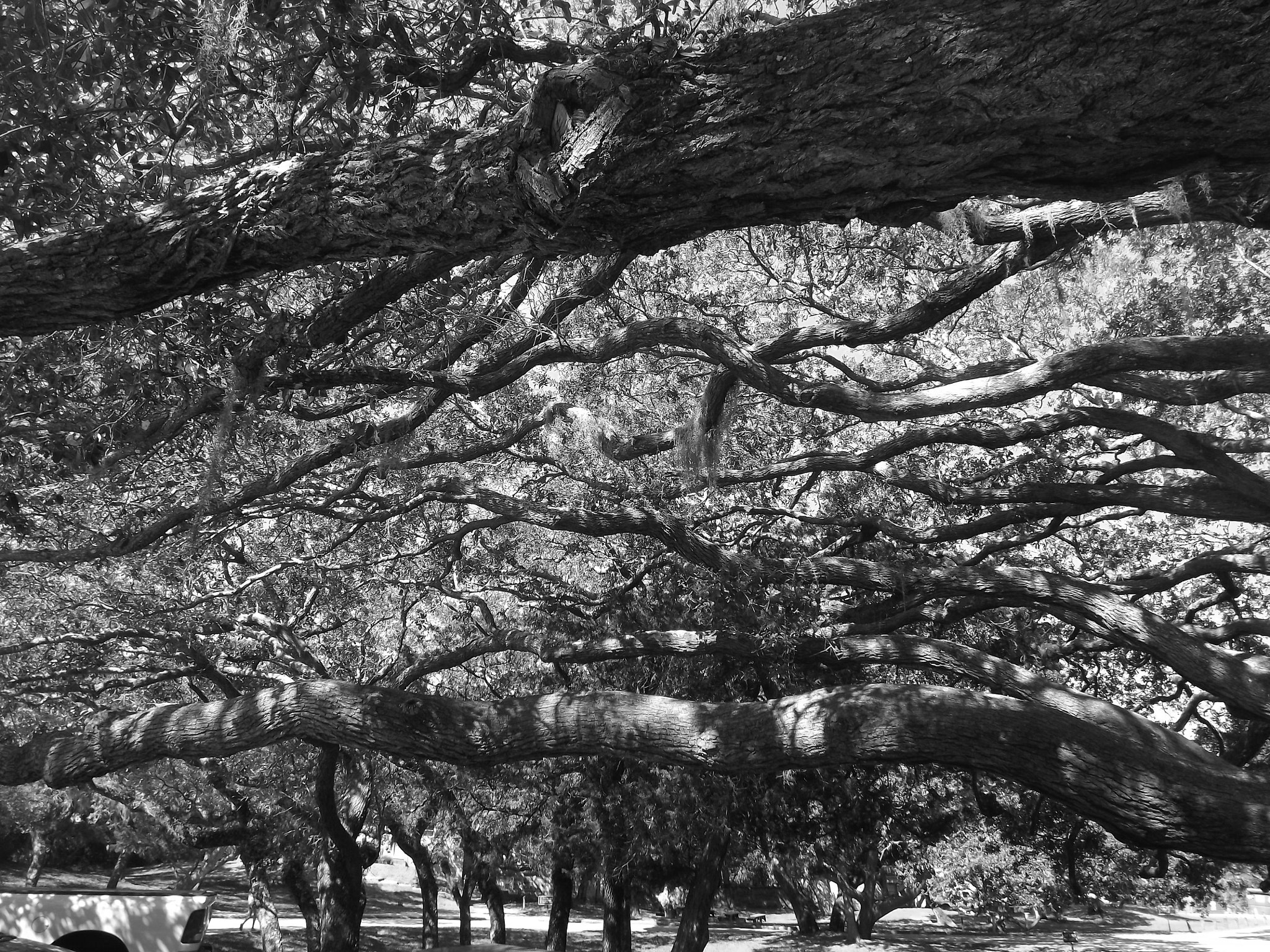 Fujifilm FinePix S3280 sample photo. Matanzas bw photography