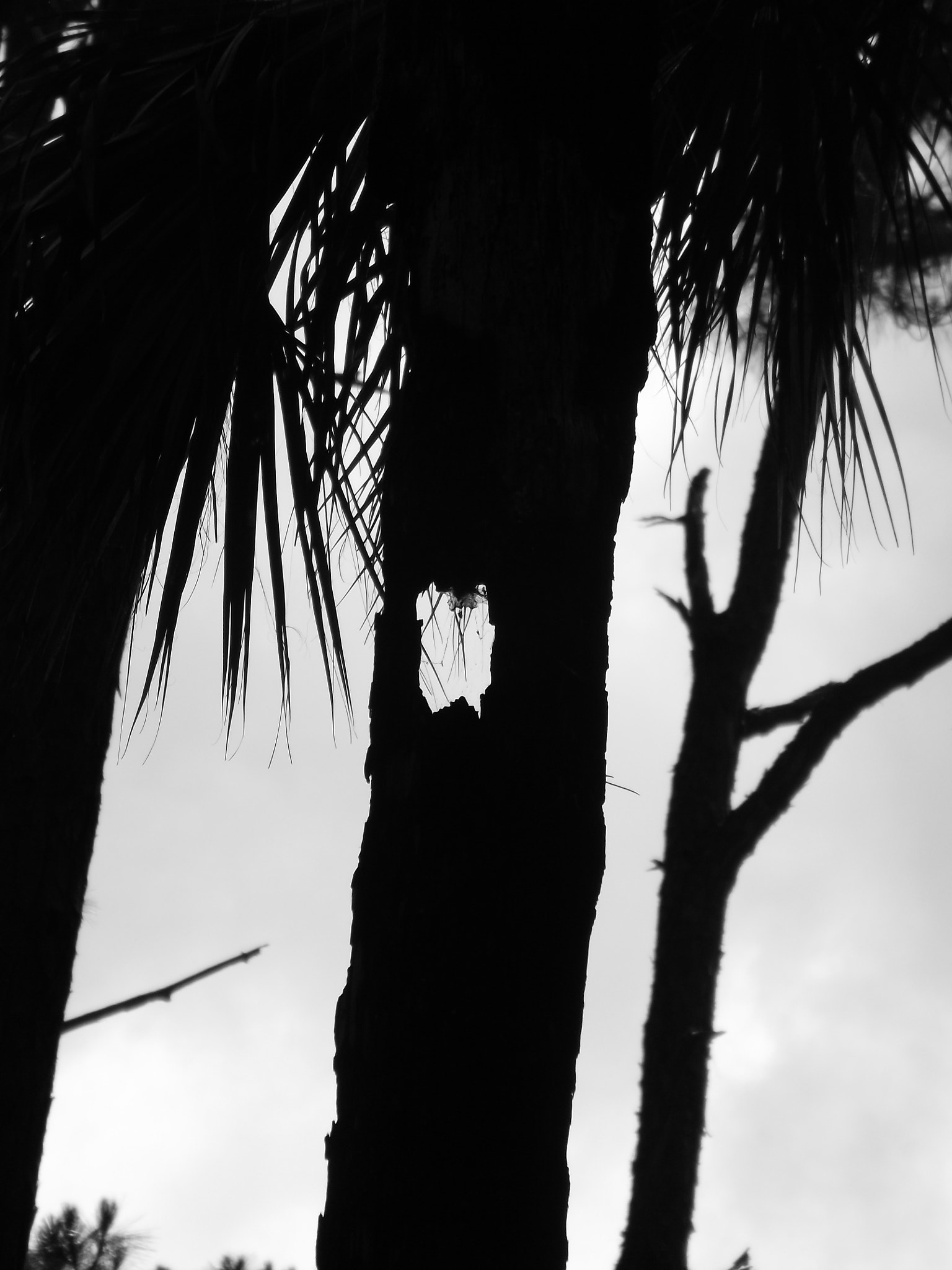 Fujifilm FinePix S3280 sample photo. Matanzas photography
