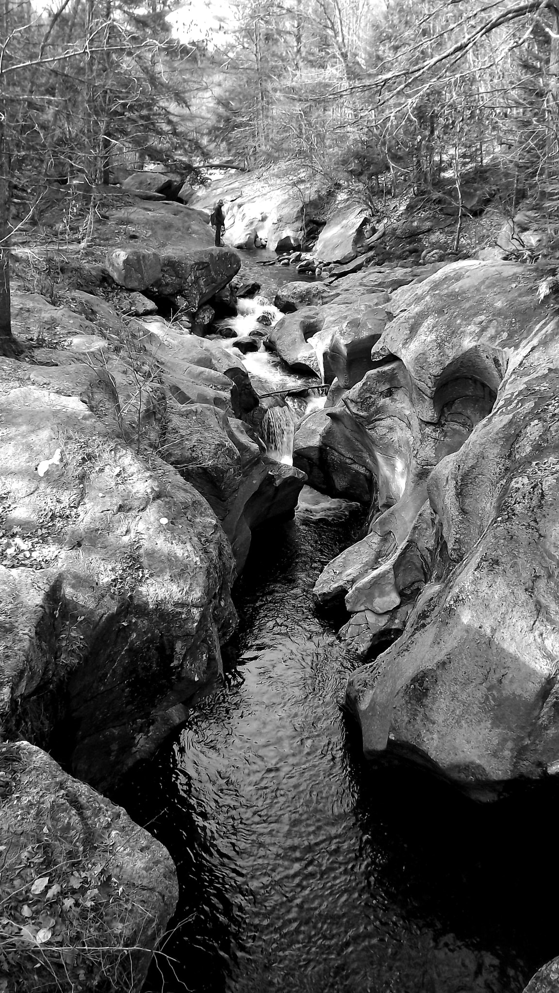 Fujifilm FinePix S3280 sample photo. Upoladed bw photography