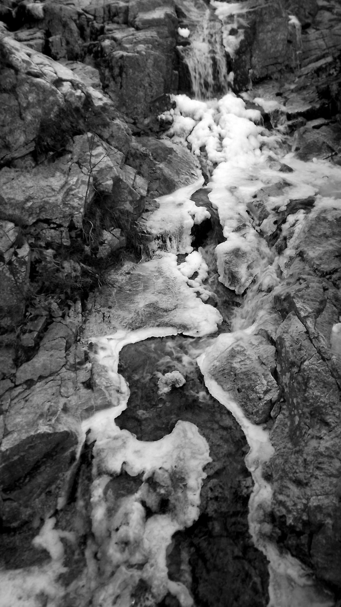 Fujifilm FinePix S3280 sample photo. Upoladed bw photography