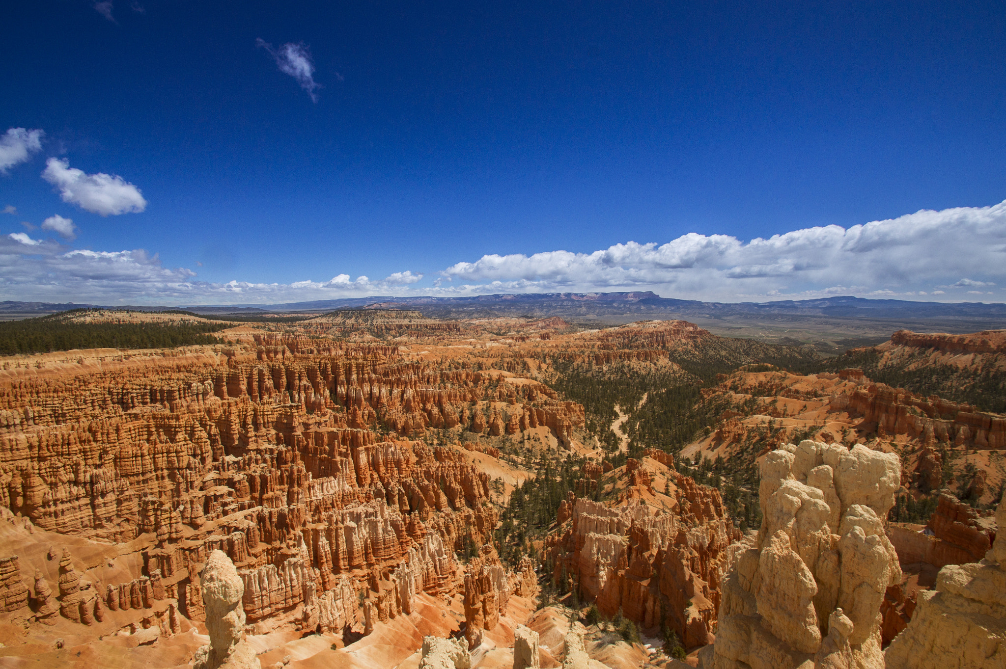 Sony Alpha DSLR-A450 + Tamron SP AF 10-24mm F3.5-4.5 Di II LD Aspherical (IF) sample photo. Bryce canyon photography