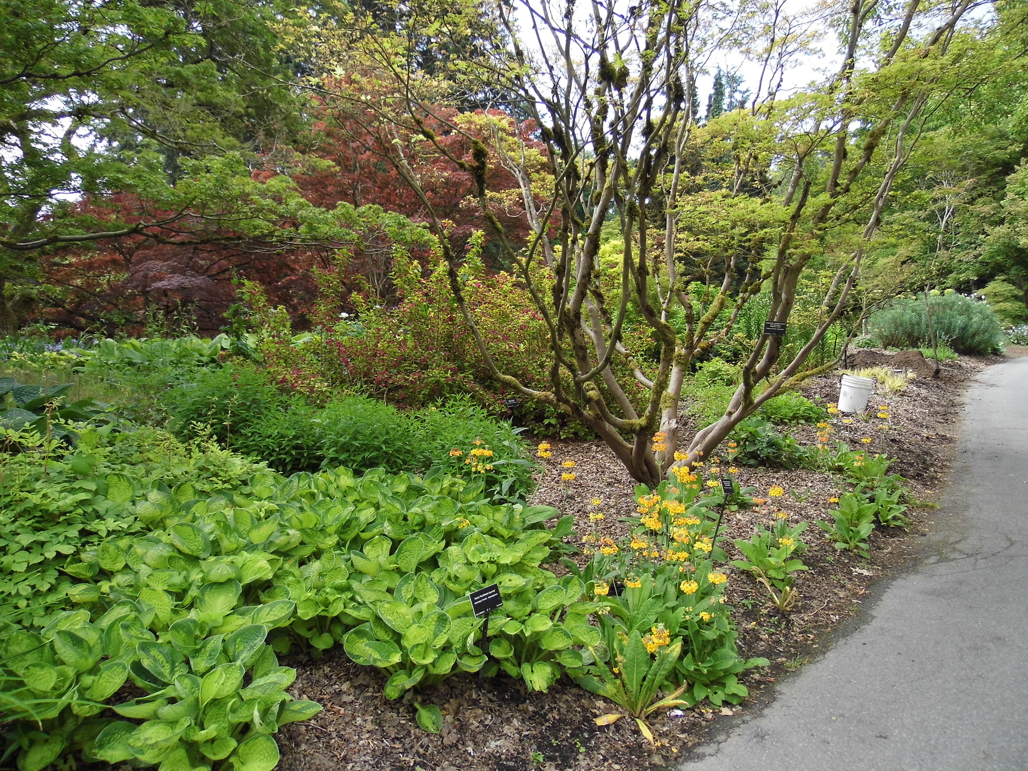 Panasonic Lumix DMC-LZ30 sample photo. Carol both_vandusen gardens_may 25 photography