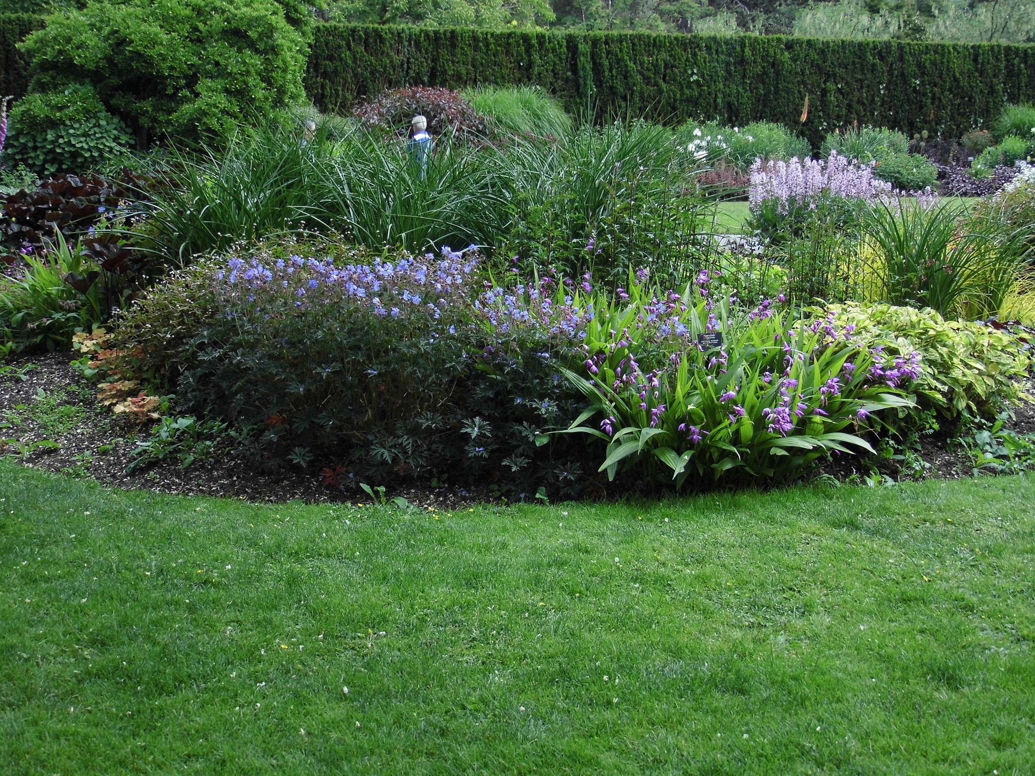 Panasonic Lumix DMC-LZ30 sample photo. Carol both_vandusen gardens_may 25 photography