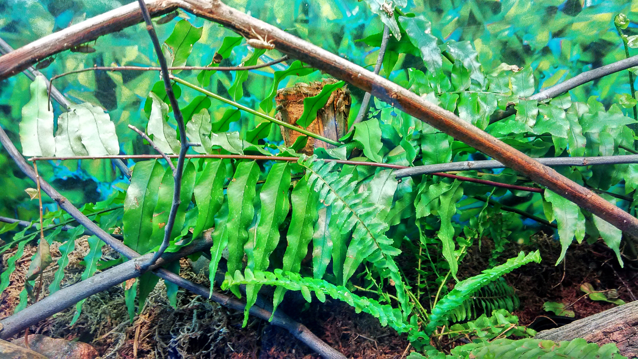 Xiaomi HM 1SC sample photo. Hdr photography