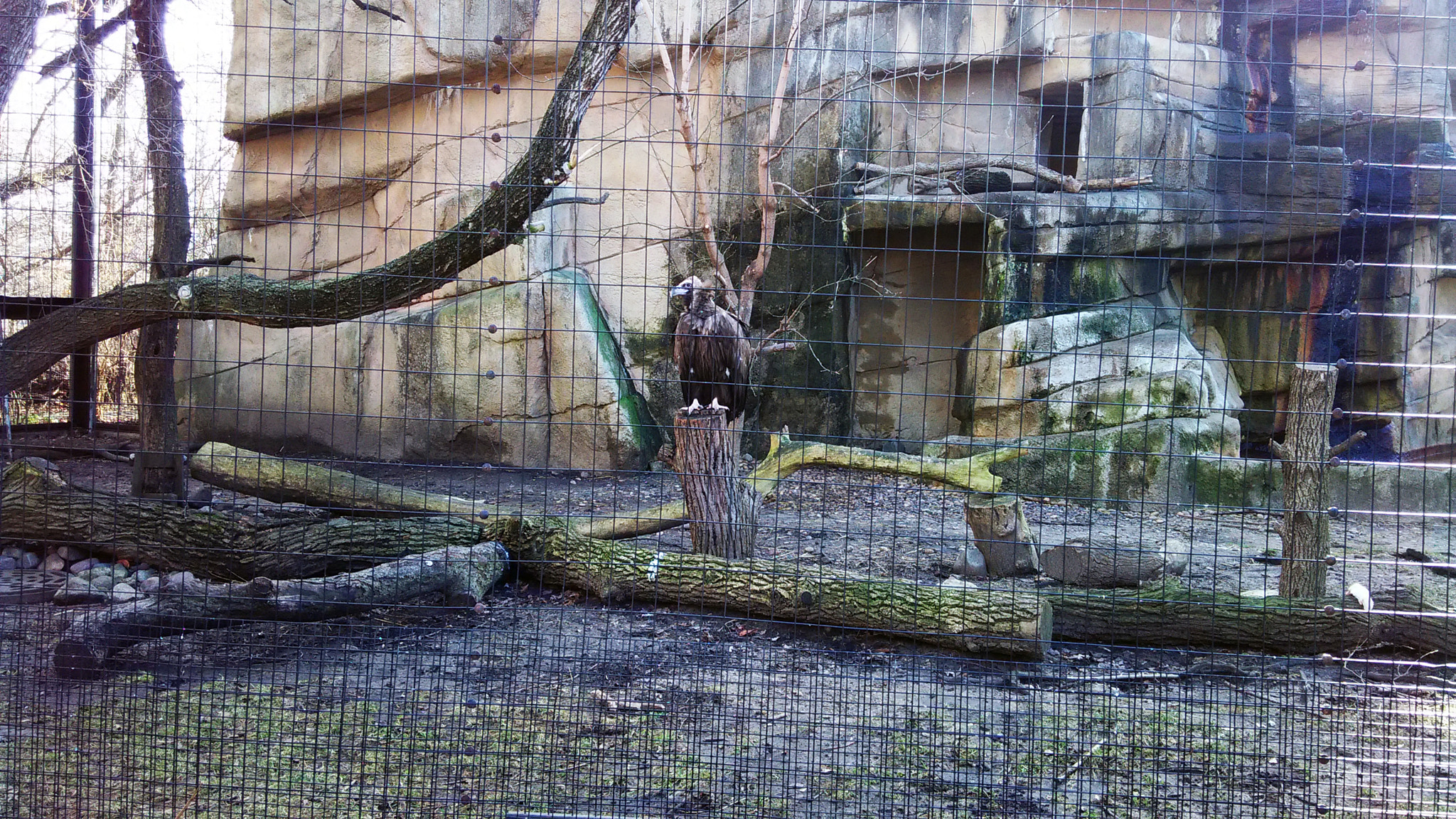 Xiaomi HM 1SC sample photo. Img_20151225_124127.jpg photography