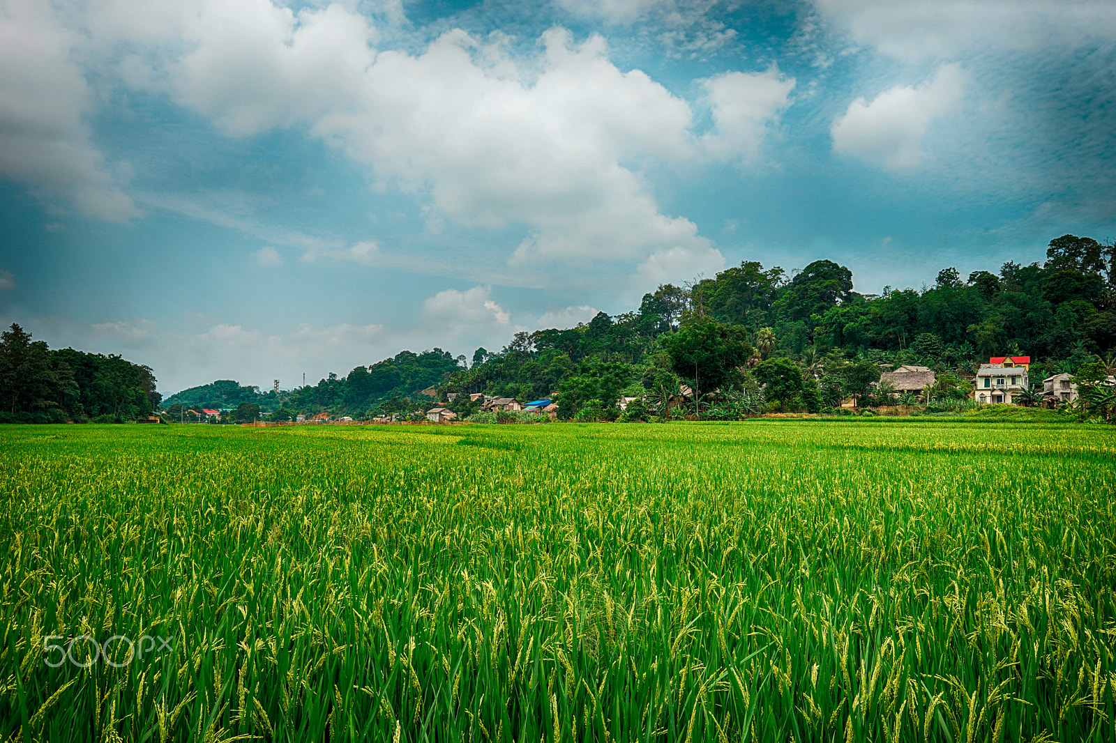 Sigma 24mm F1.4 DG HSM Art sample photo. Hdr photography
