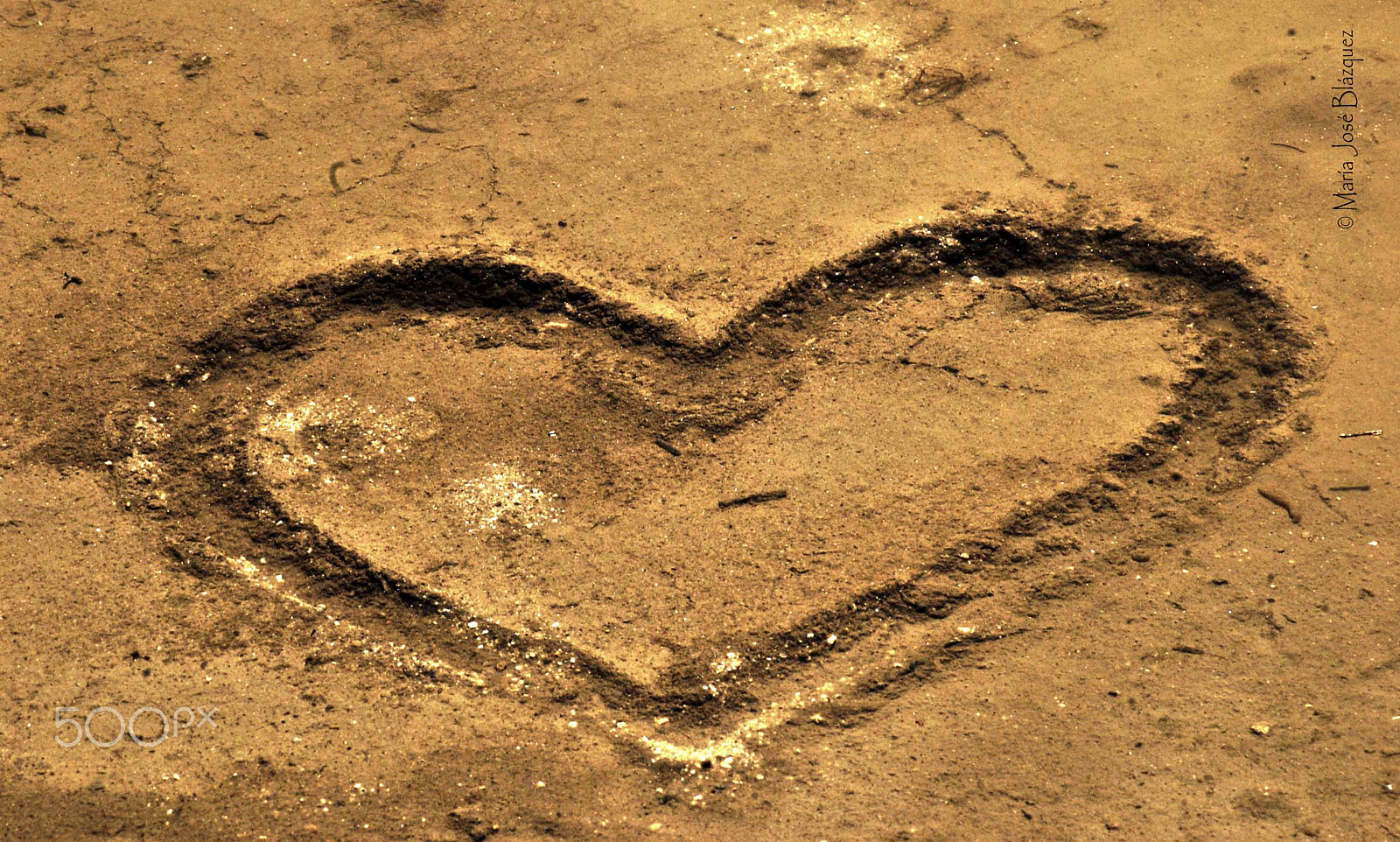 Nikon D40 sample photo. A heart in the water photography
