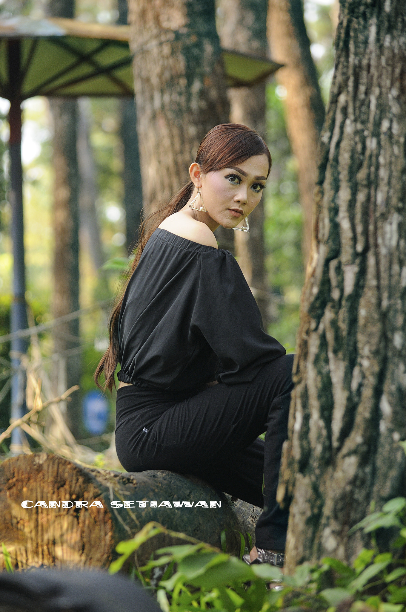 Nikon D300S sample photo. Enjoy between the trees photography