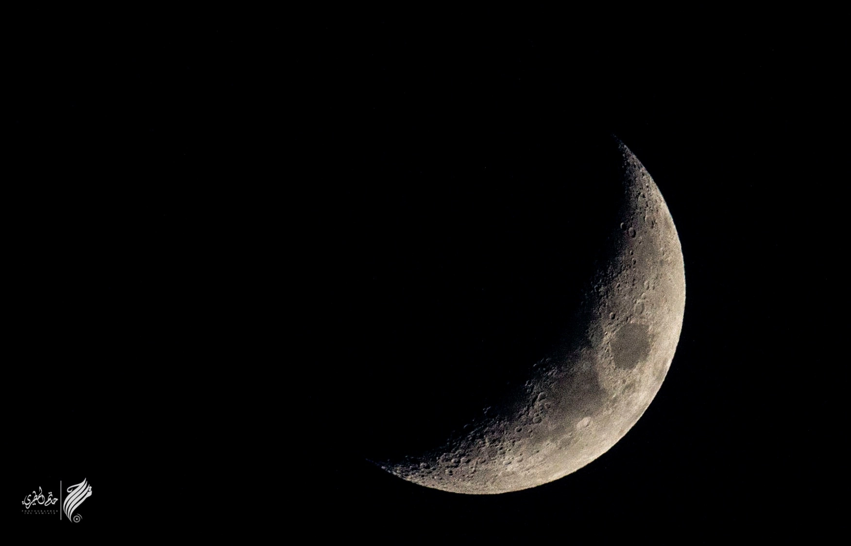 Canon EOS 7D + Canon EF 400mm F5.6L USM sample photo