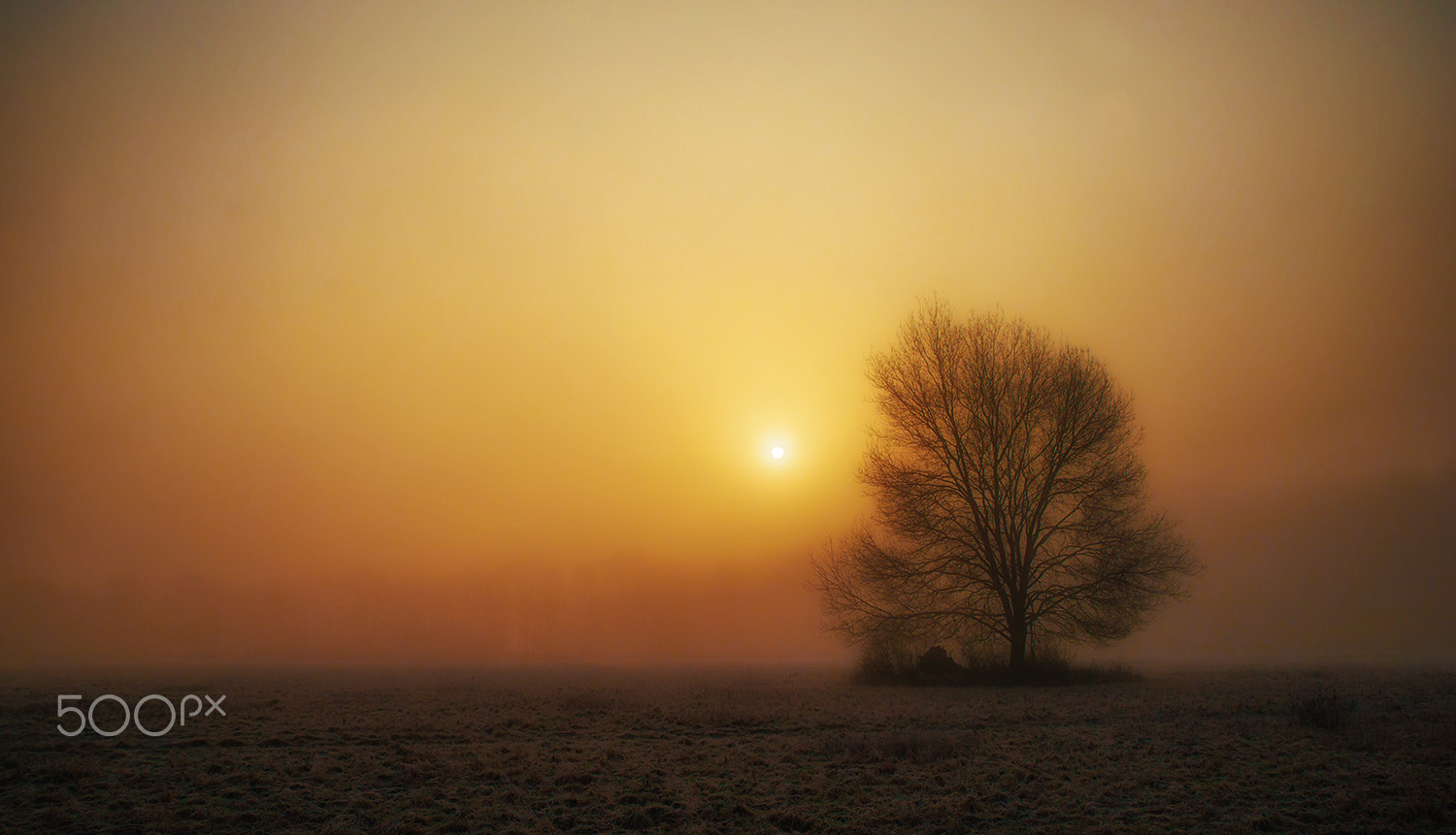 Sony Alpha DSLR-A900 + Tamron SP 24-70mm F2.8 Di VC USD sample photo. Awakening sun photography